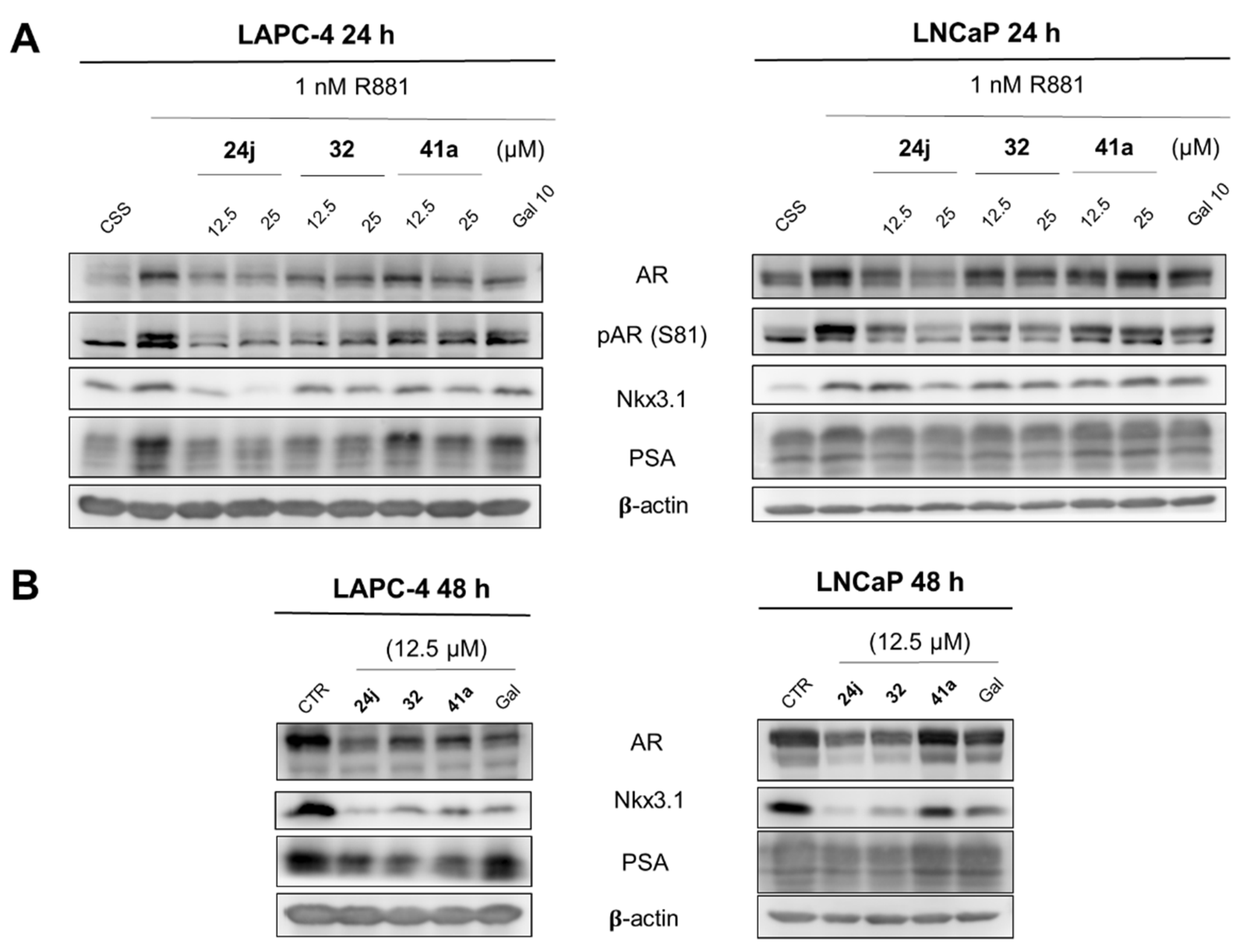 Ijms 23 13534 g003 Ijms 23 13534 g003