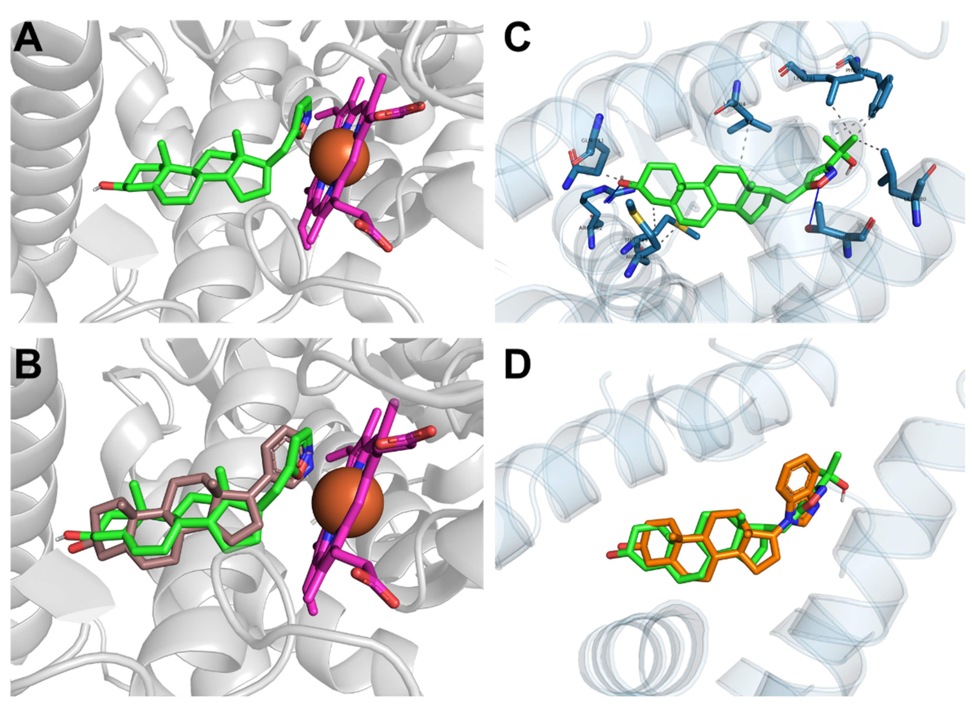Ijms 23 13534 g004 Ijms 23 13534 g004