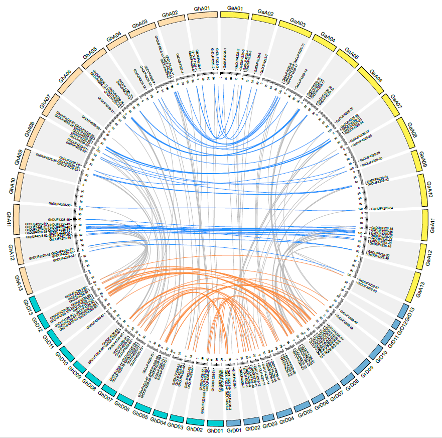 Ijms 23 13542 g003 Ijms 23 13542 g003