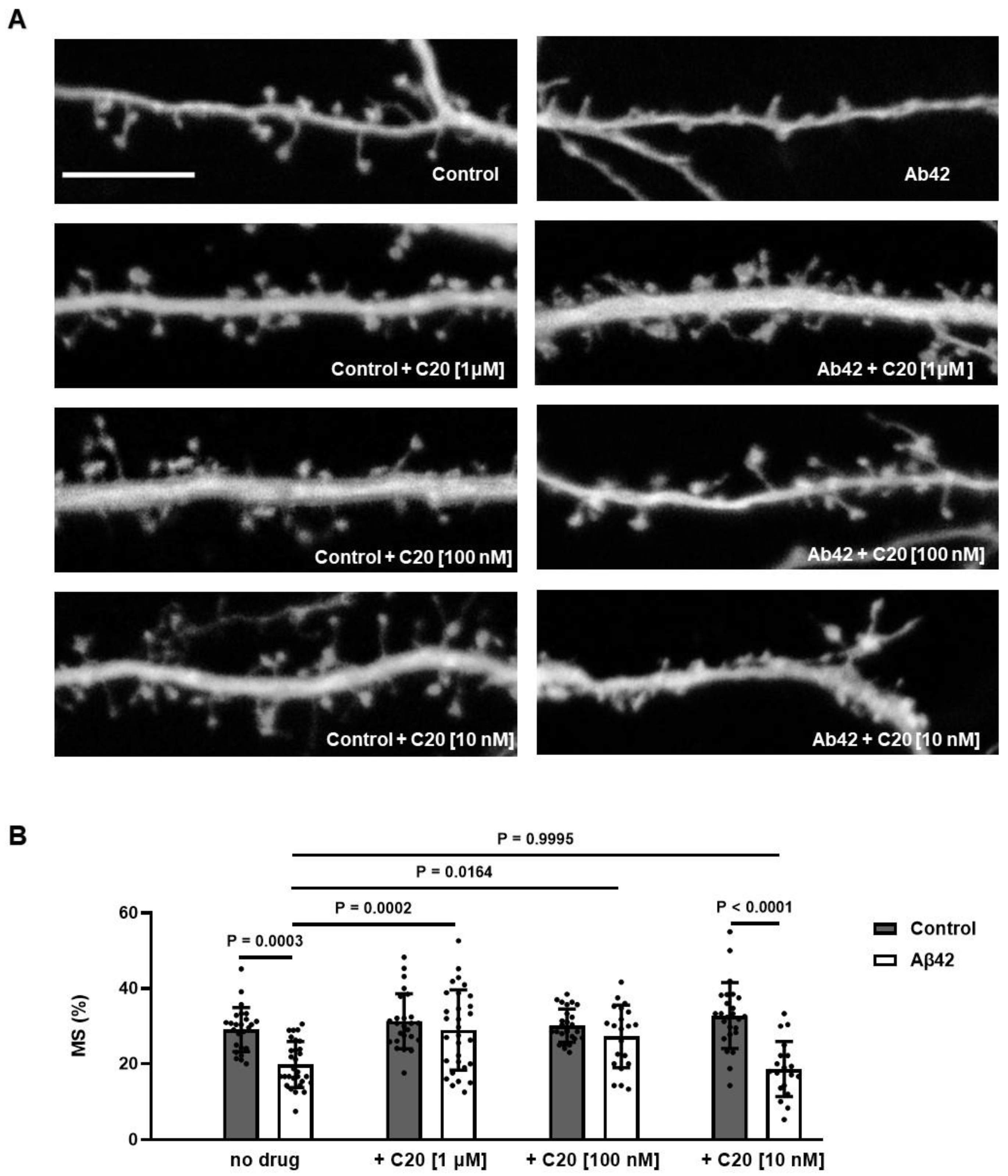Ijms 23 13552 g002 Ijms 23 13552 g002