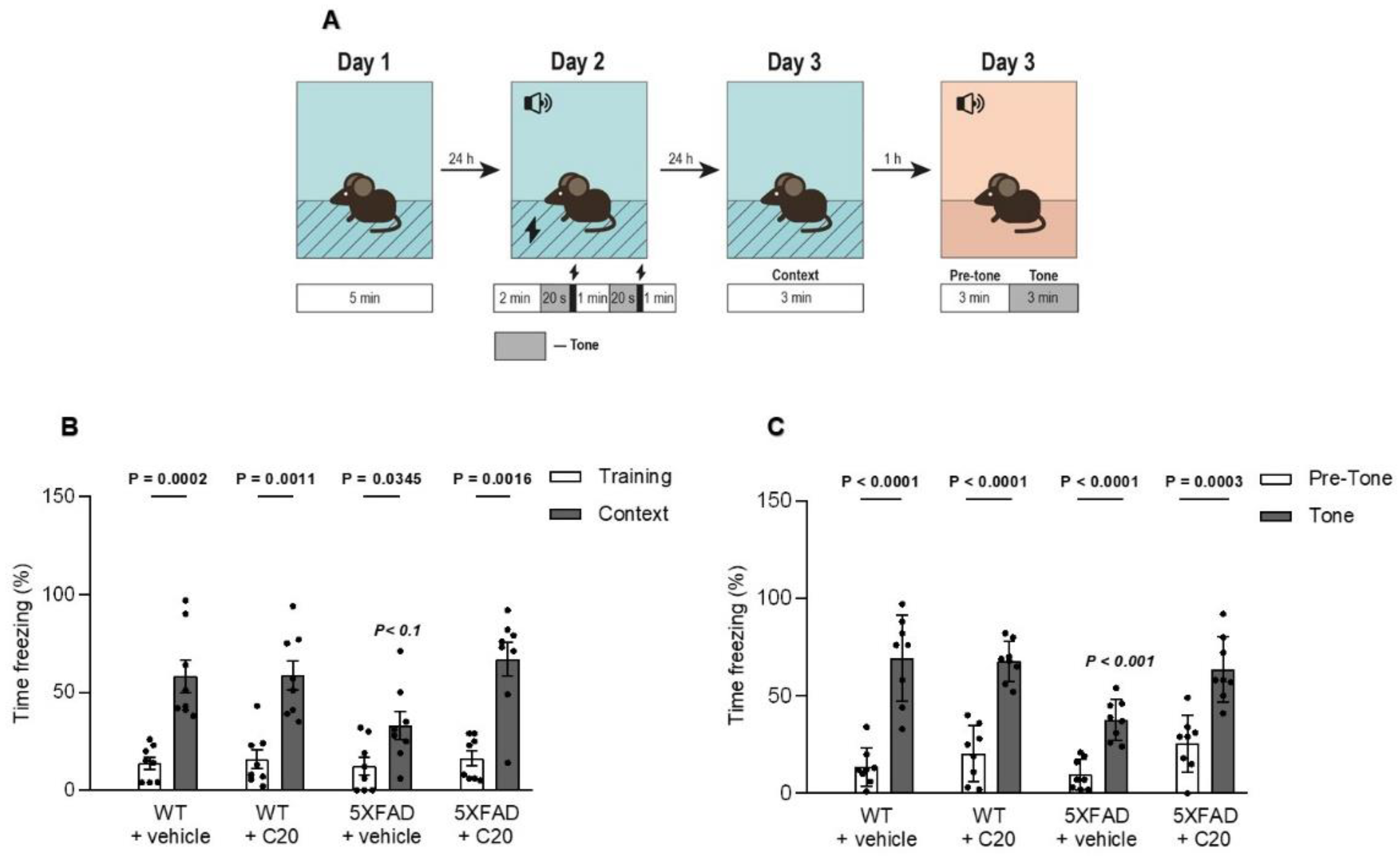 Ijms 23 13552 g006 Ijms 23 13552 g006