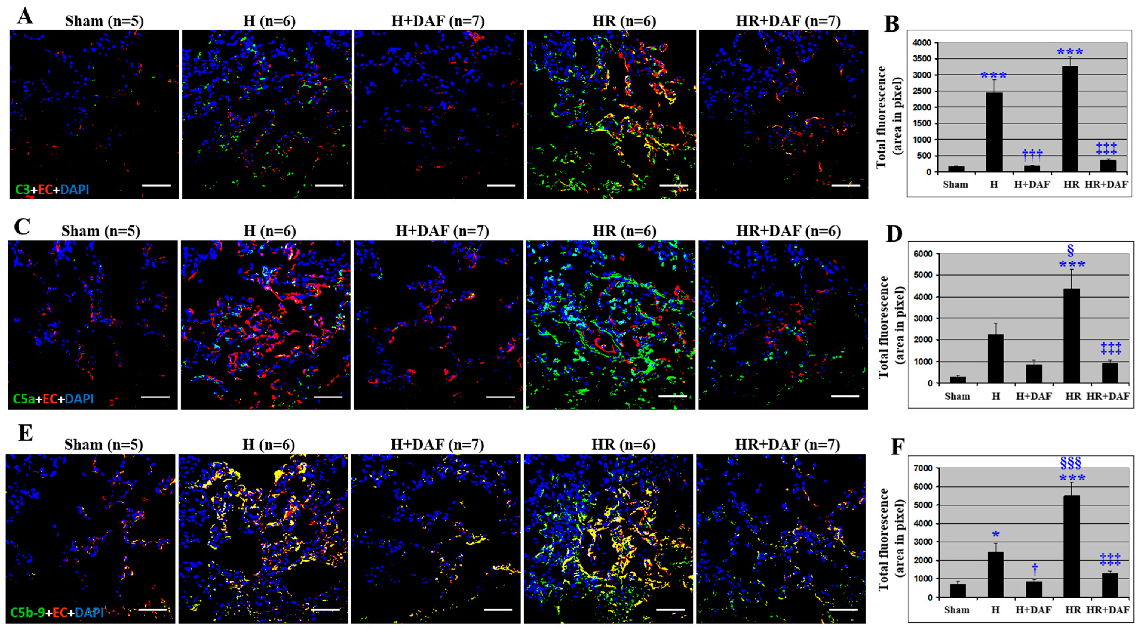 Ijms 23 13563 g003 Ijms 23 13563 g003