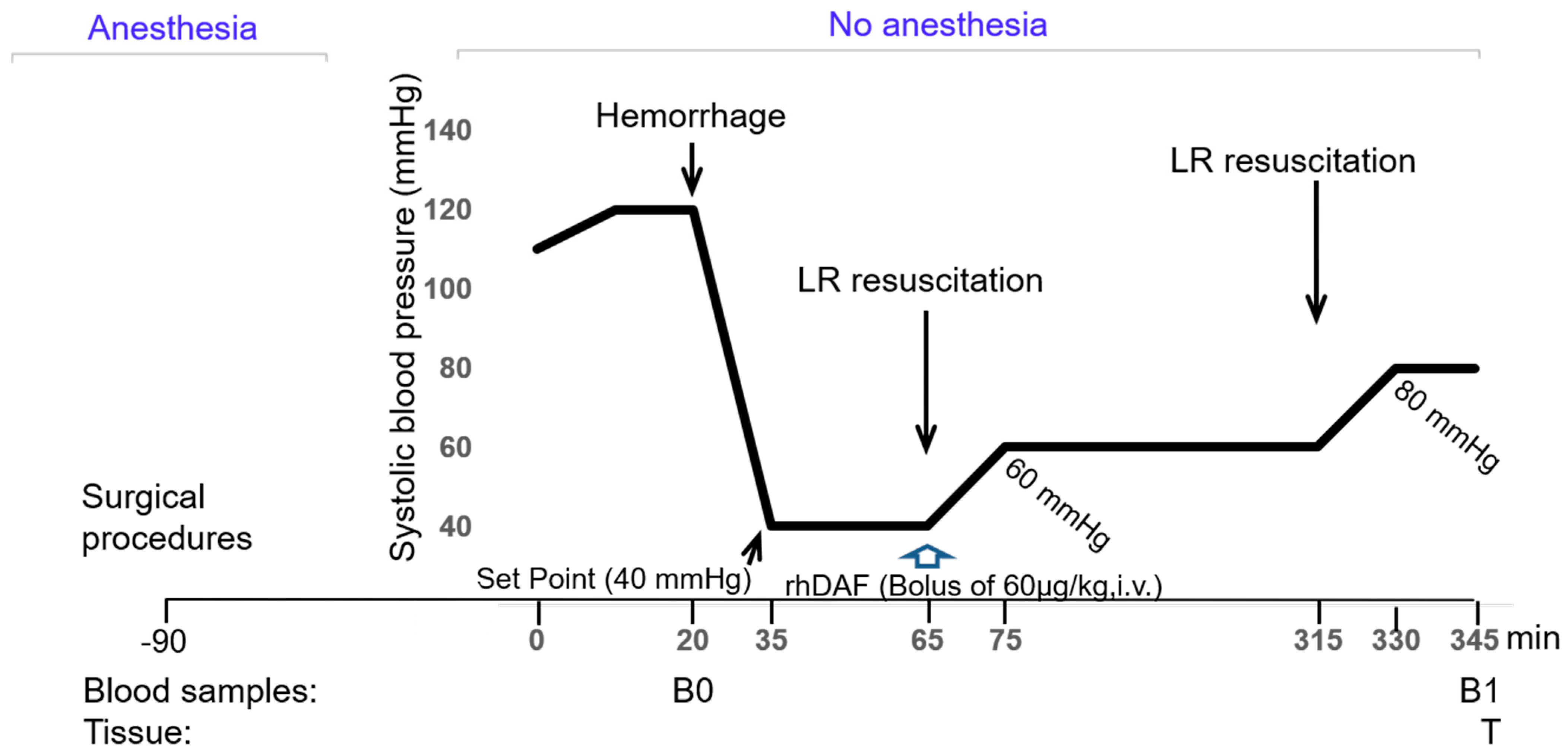 Ijms 23 13563 g009 Ijms 23 13563 g009