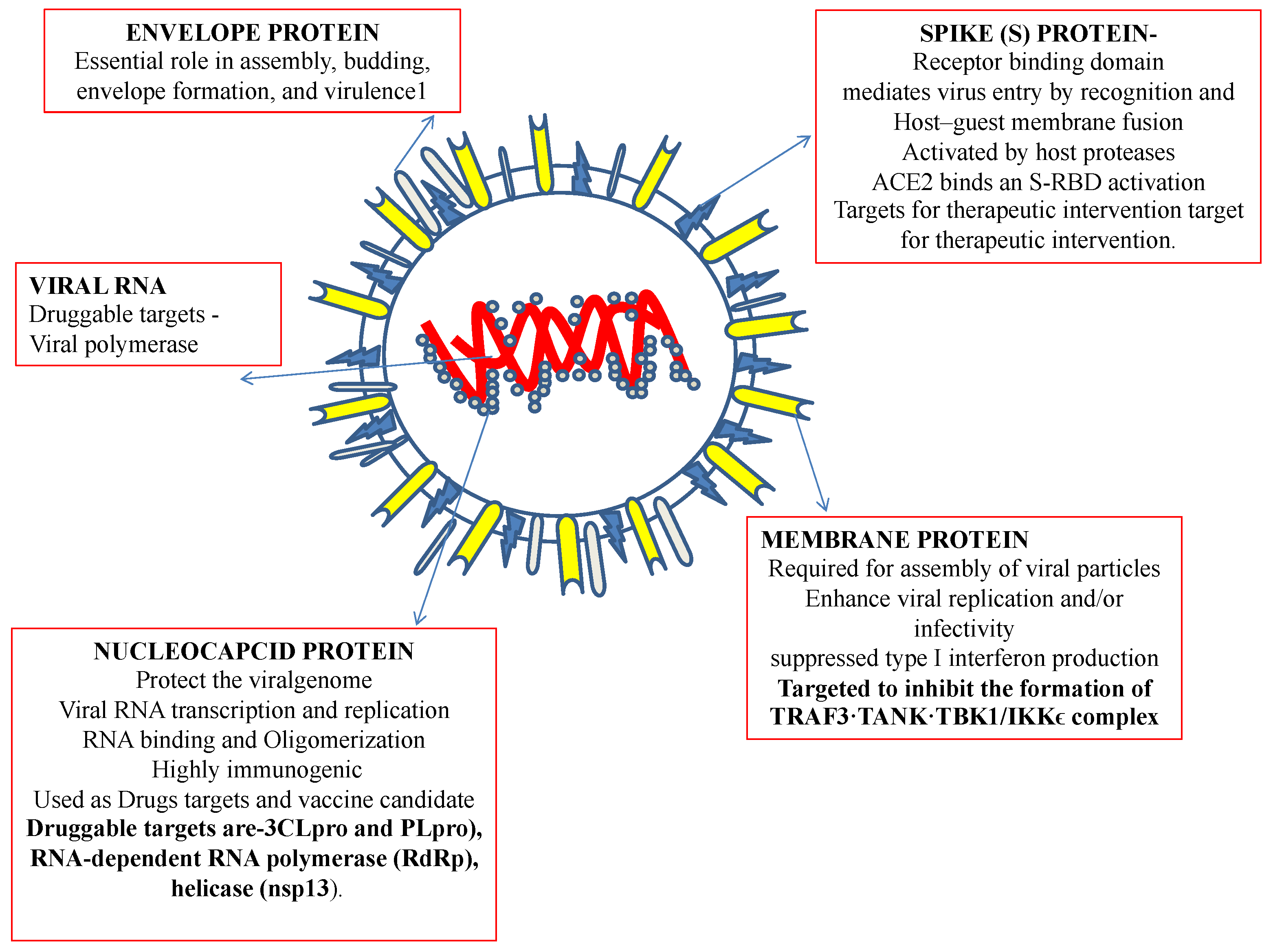 Ijms 23 13564 g001 Ijms 23 13564 g001