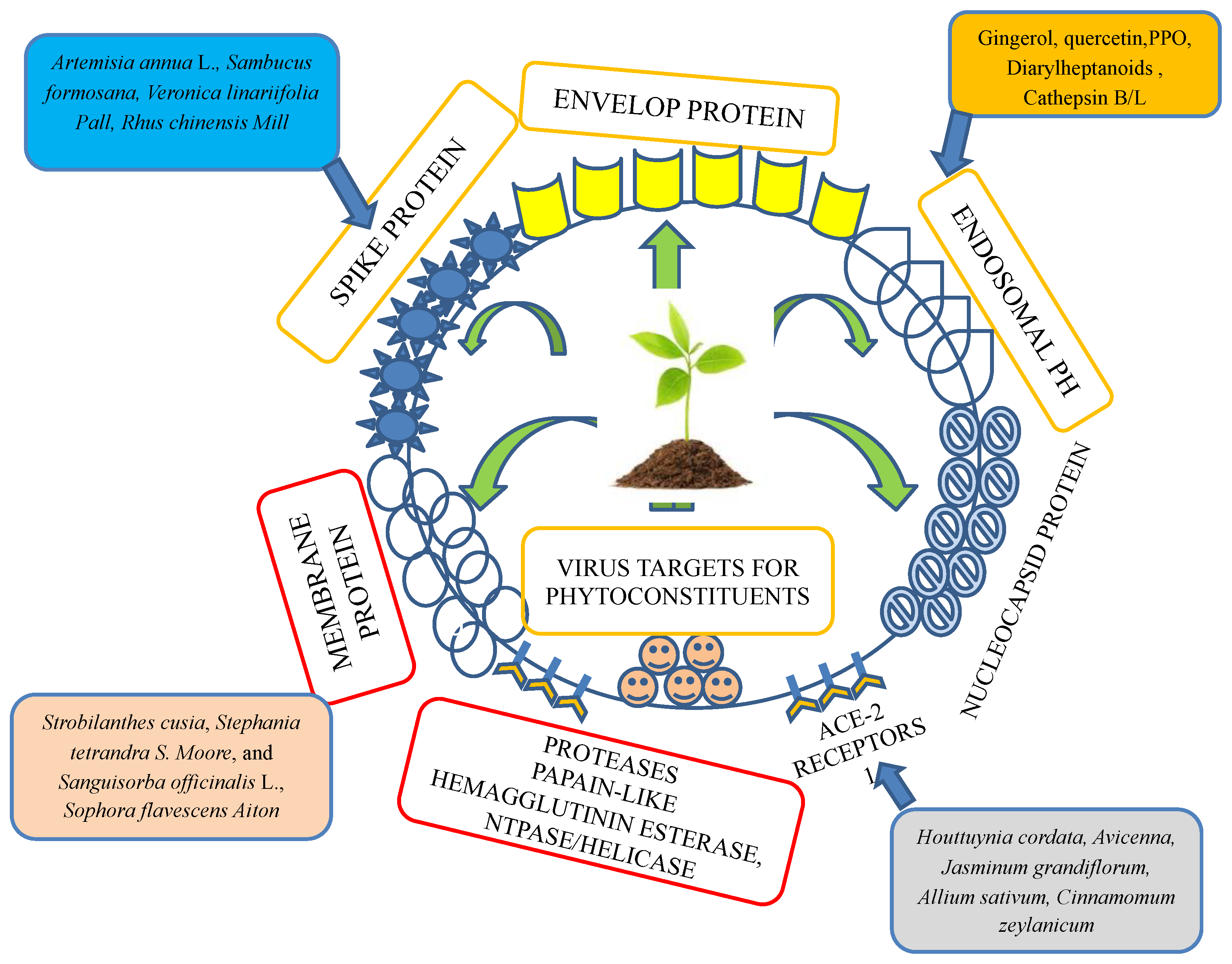 Ijms 23 13564 g002 Ijms 23 13564 g002