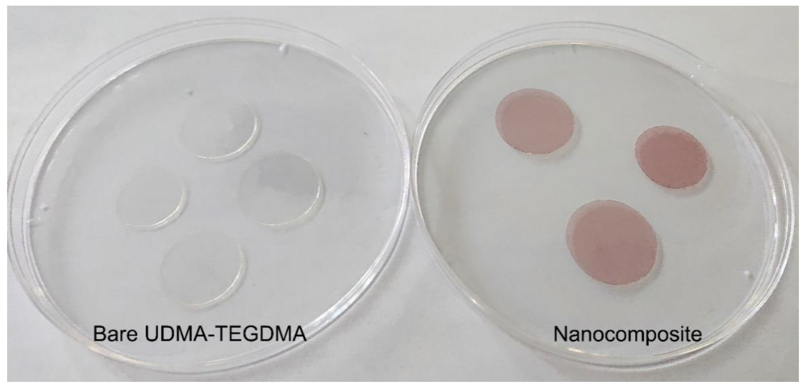 Ijms 23 13575 g003 Ijms 23 13575 g003