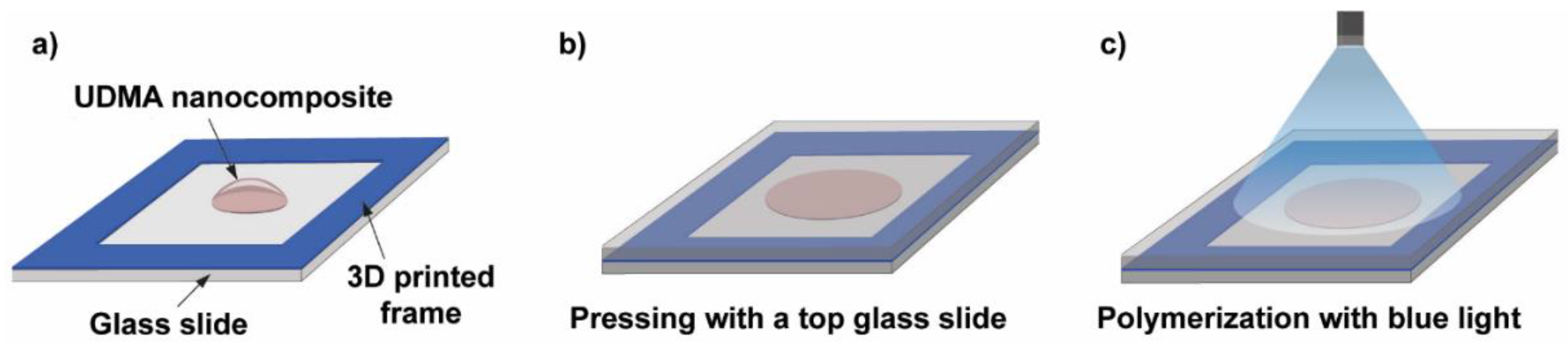 Ijms 23 13575 g007 Ijms 23 13575 g007