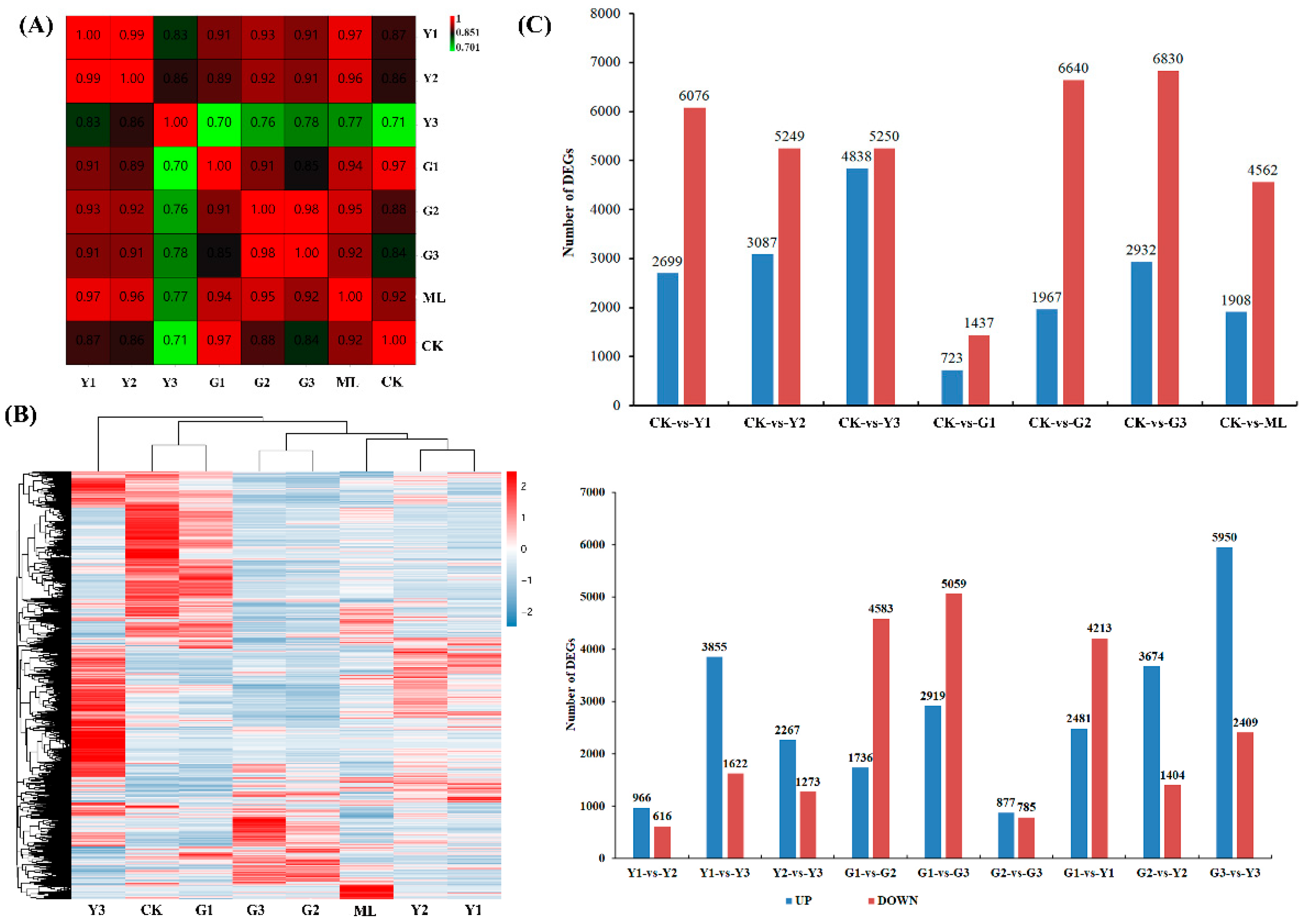Ijms 23 13576 g003 Ijms 23 13576 g003