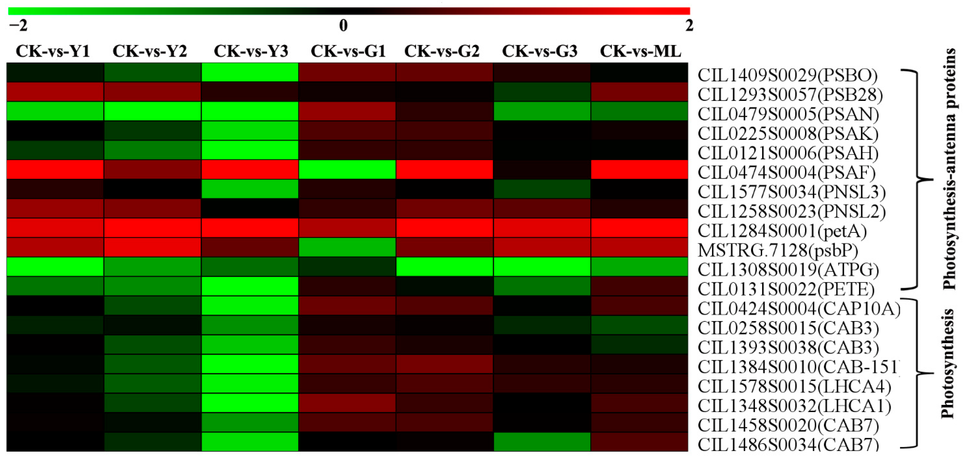 Ijms 23 13576 g007 Ijms 23 13576 g007