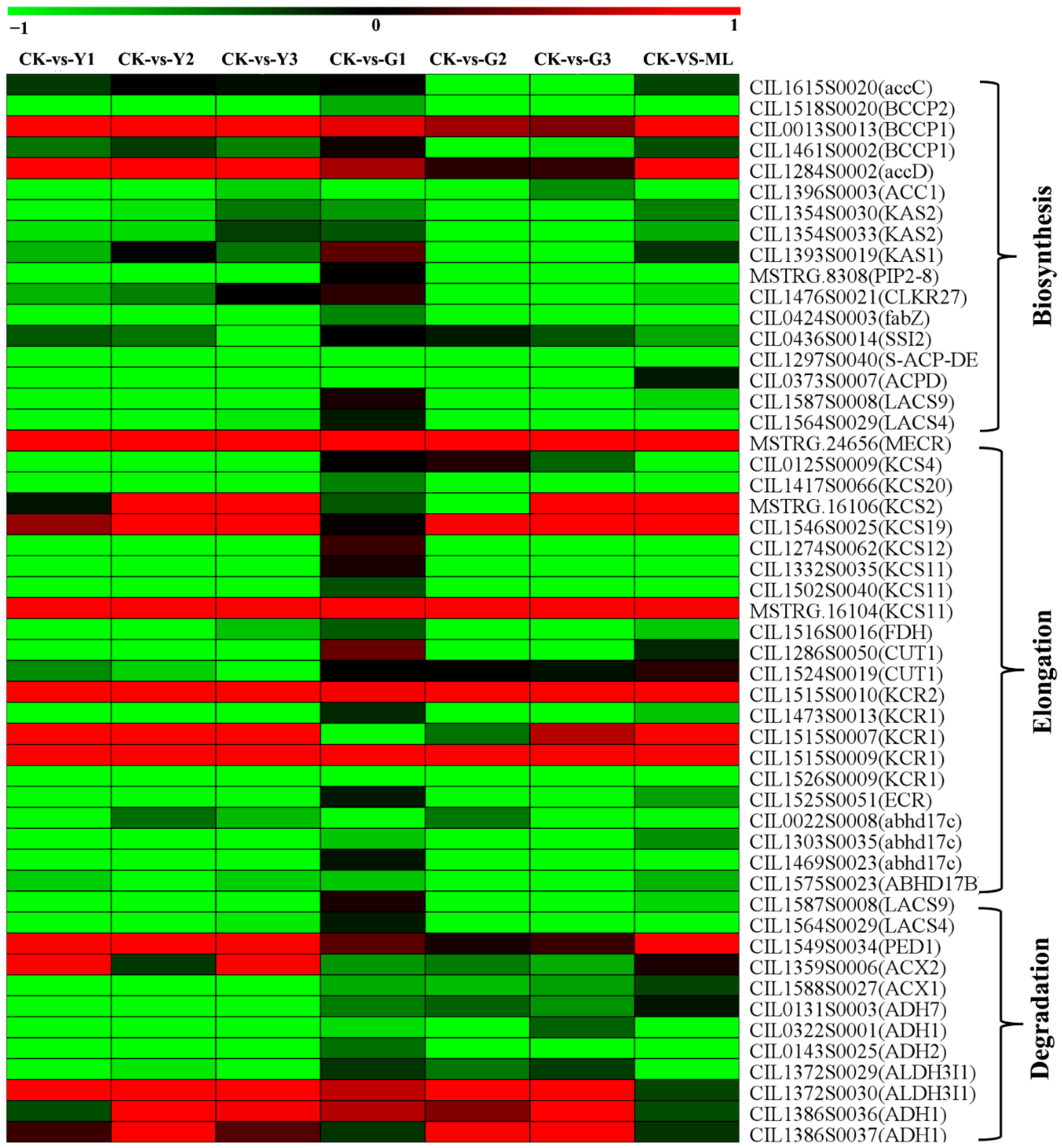 Ijms 23 13576 g011 Ijms 23 13576 g011