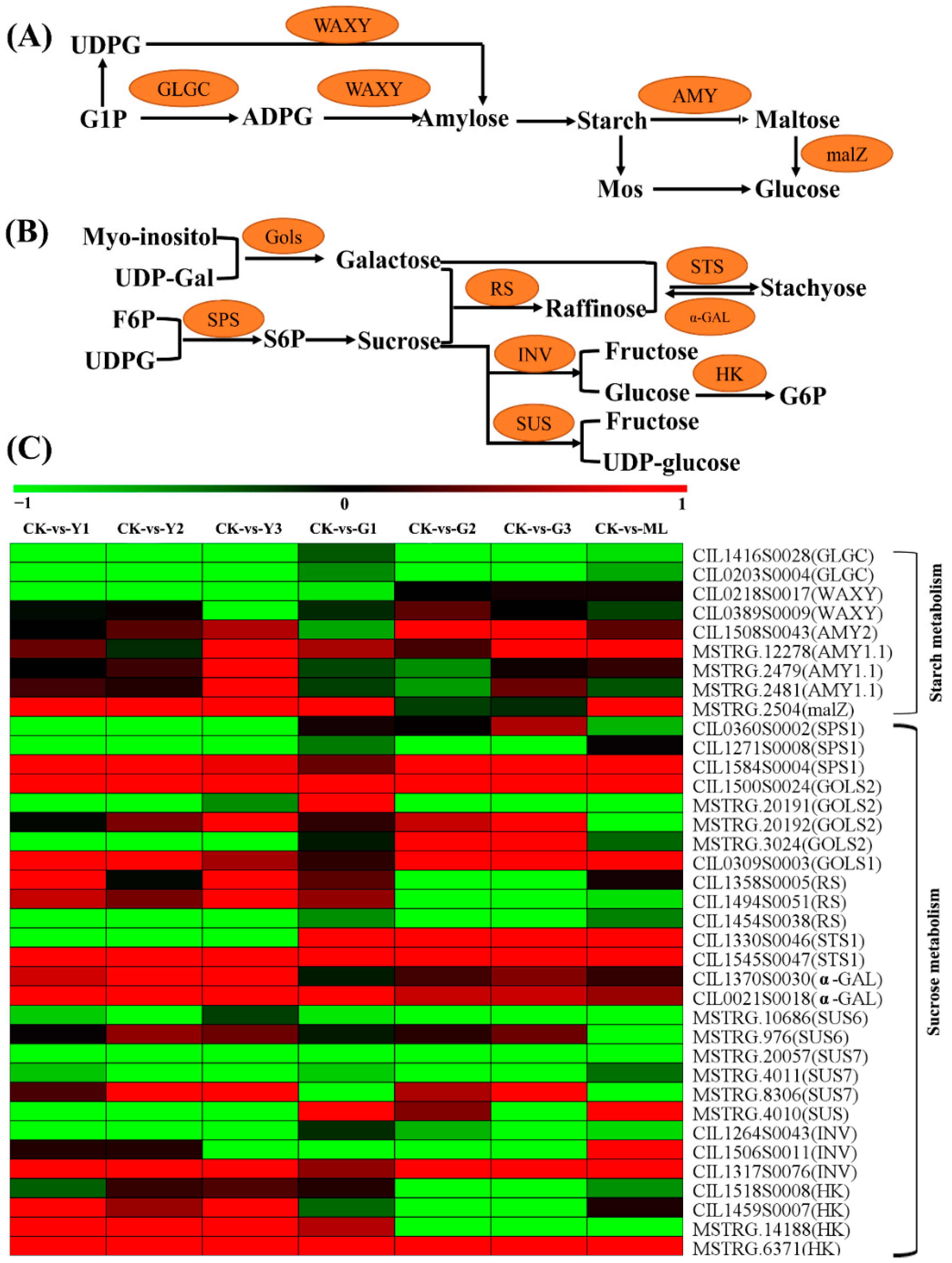 Ijms 23 13576 g012 Ijms 23 13576 g012