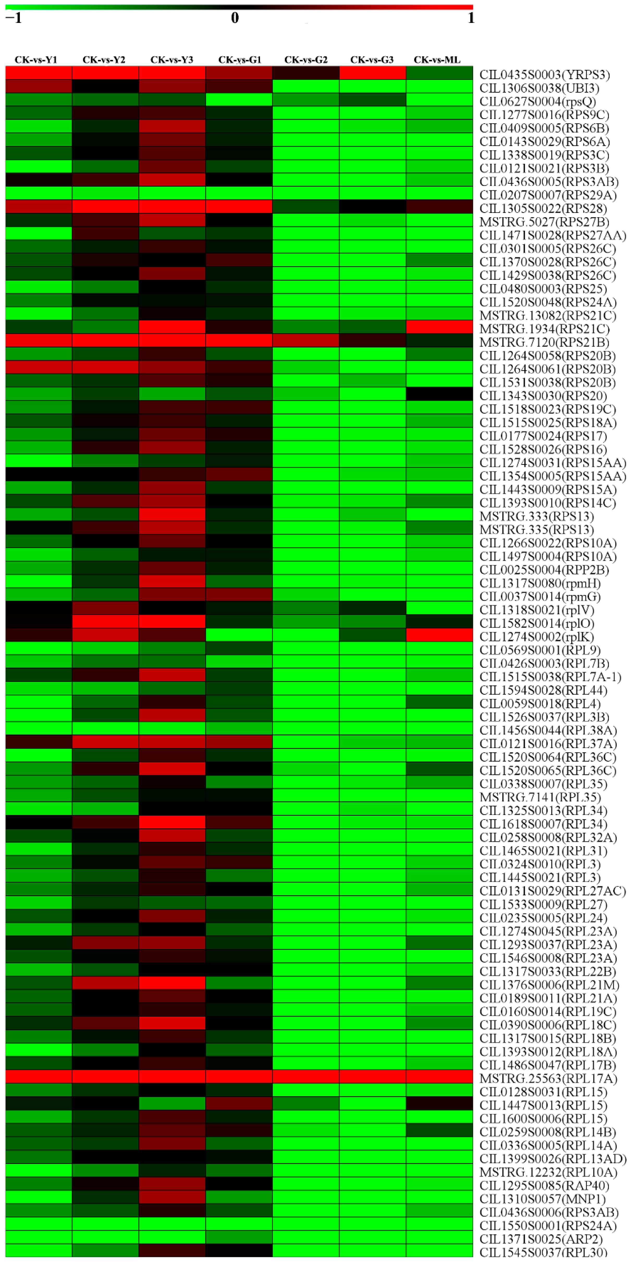 Ijms 23 13576 g013 Ijms 23 13576 g013