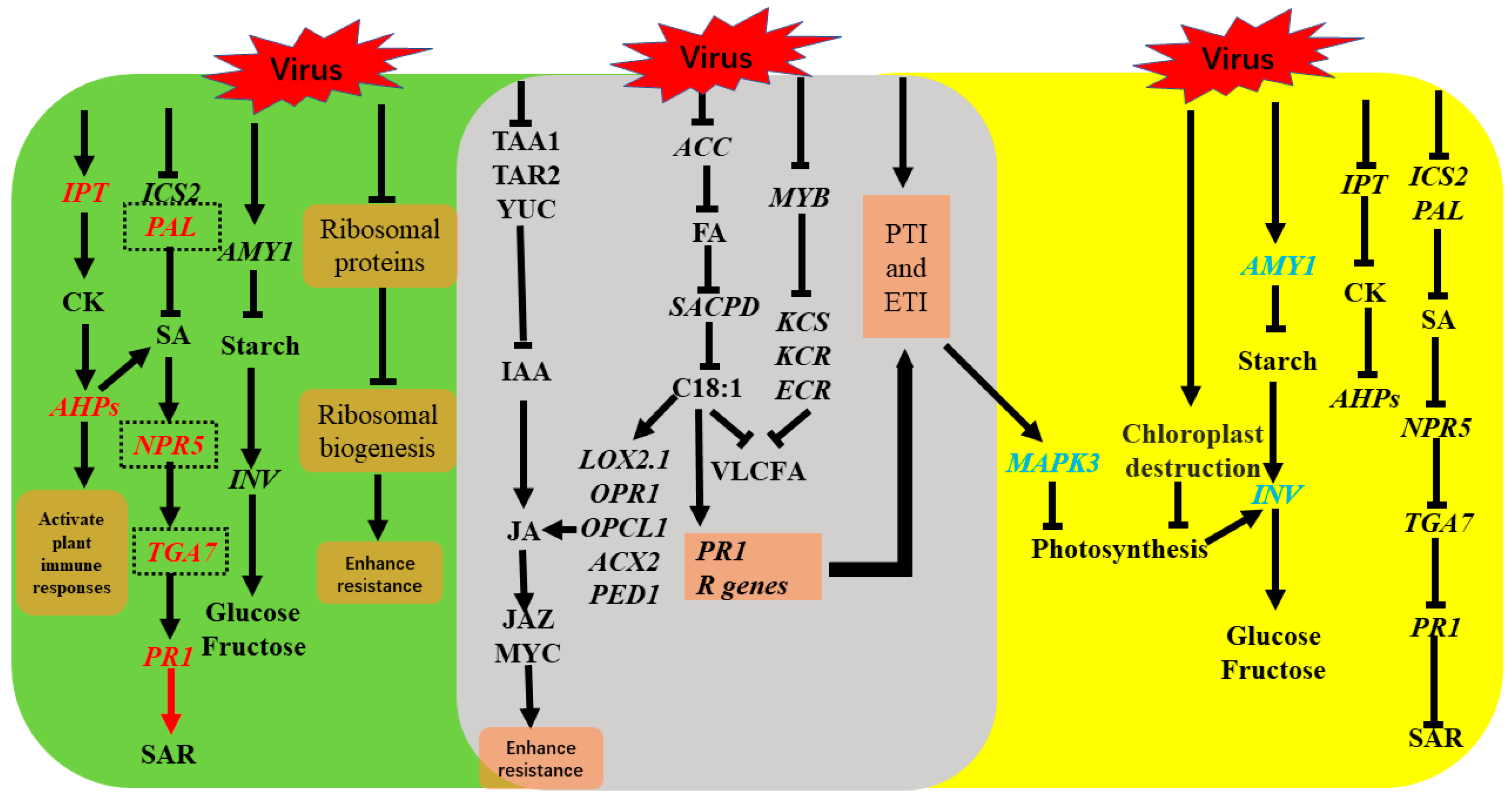 Ijms 23 13576 g014 Ijms 23 13576 g014