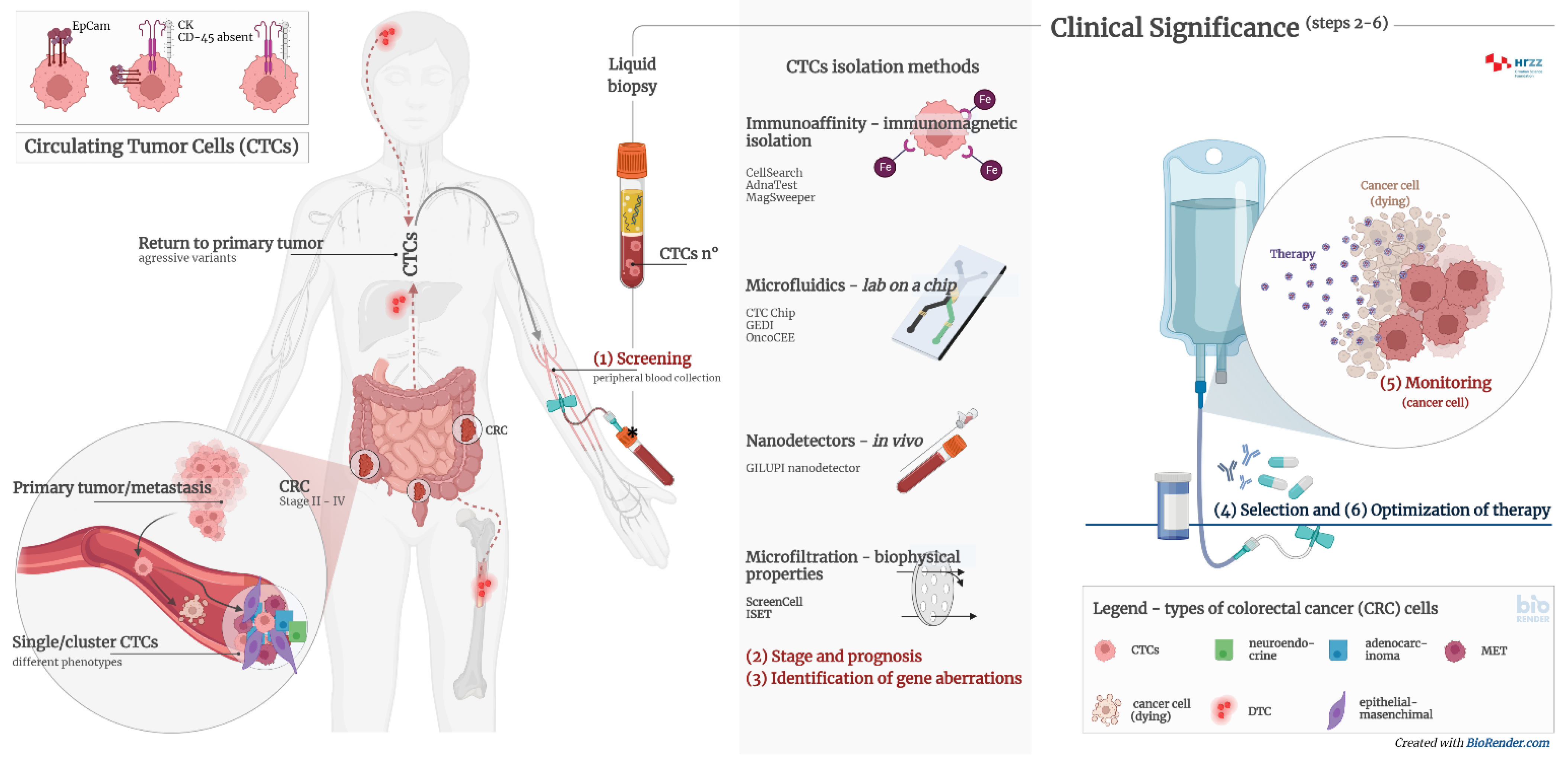 Ijms 23 13582 g002 Ijms 23 13582 g002