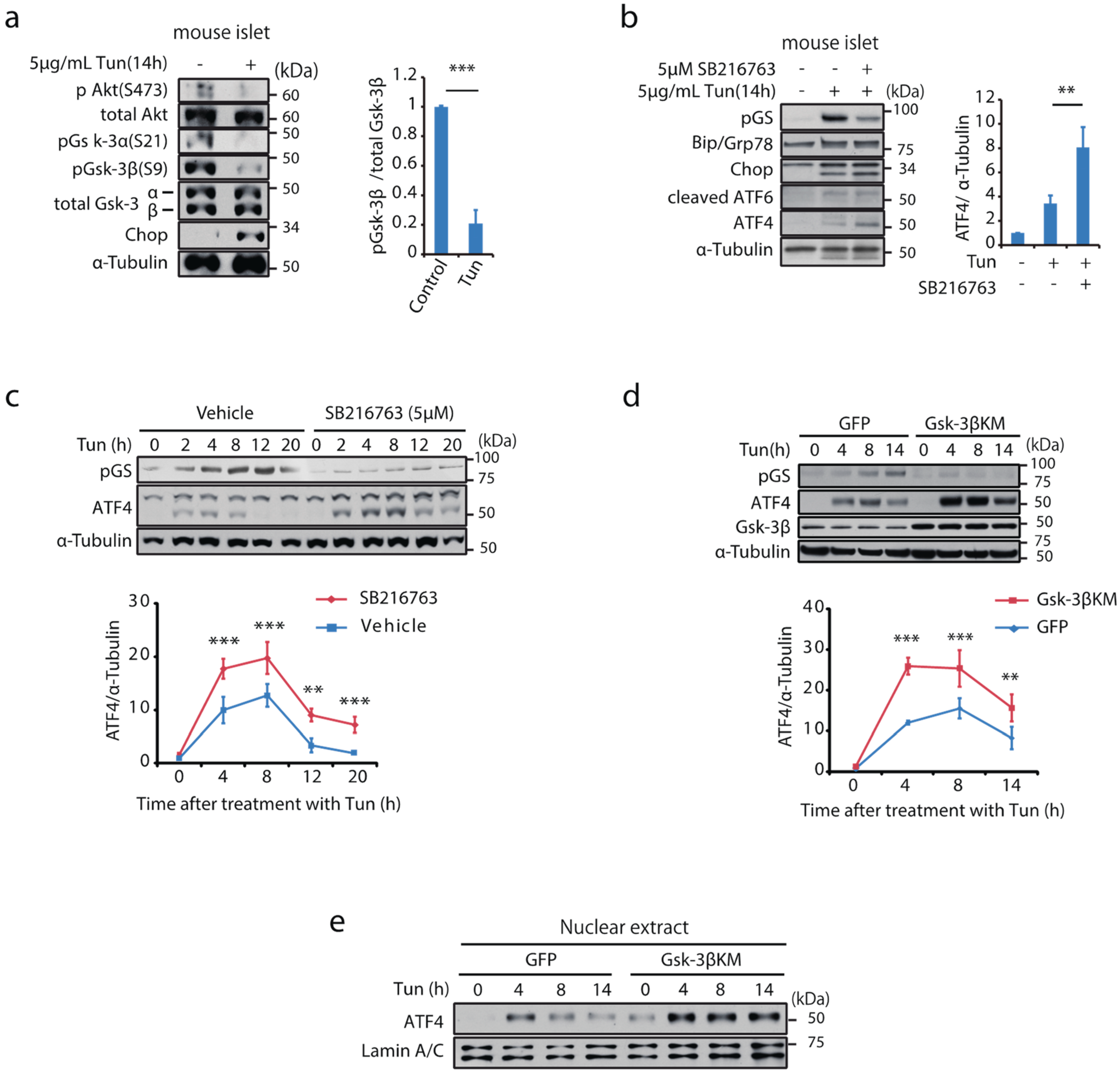 Ijms 23 13586 g001 Ijms 23 13586 g001