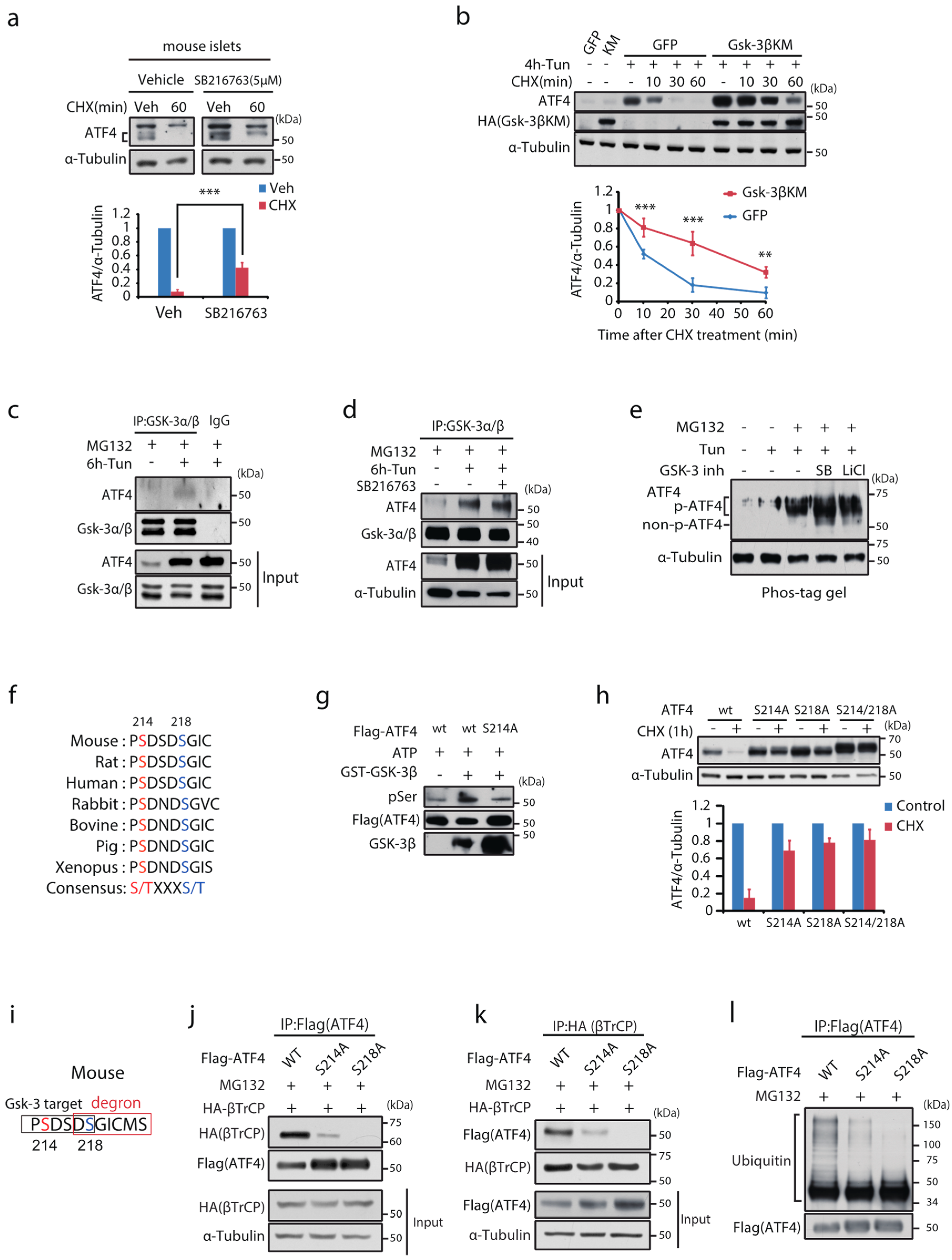 Ijms 23 13586 g002 Ijms 23 13586 g002