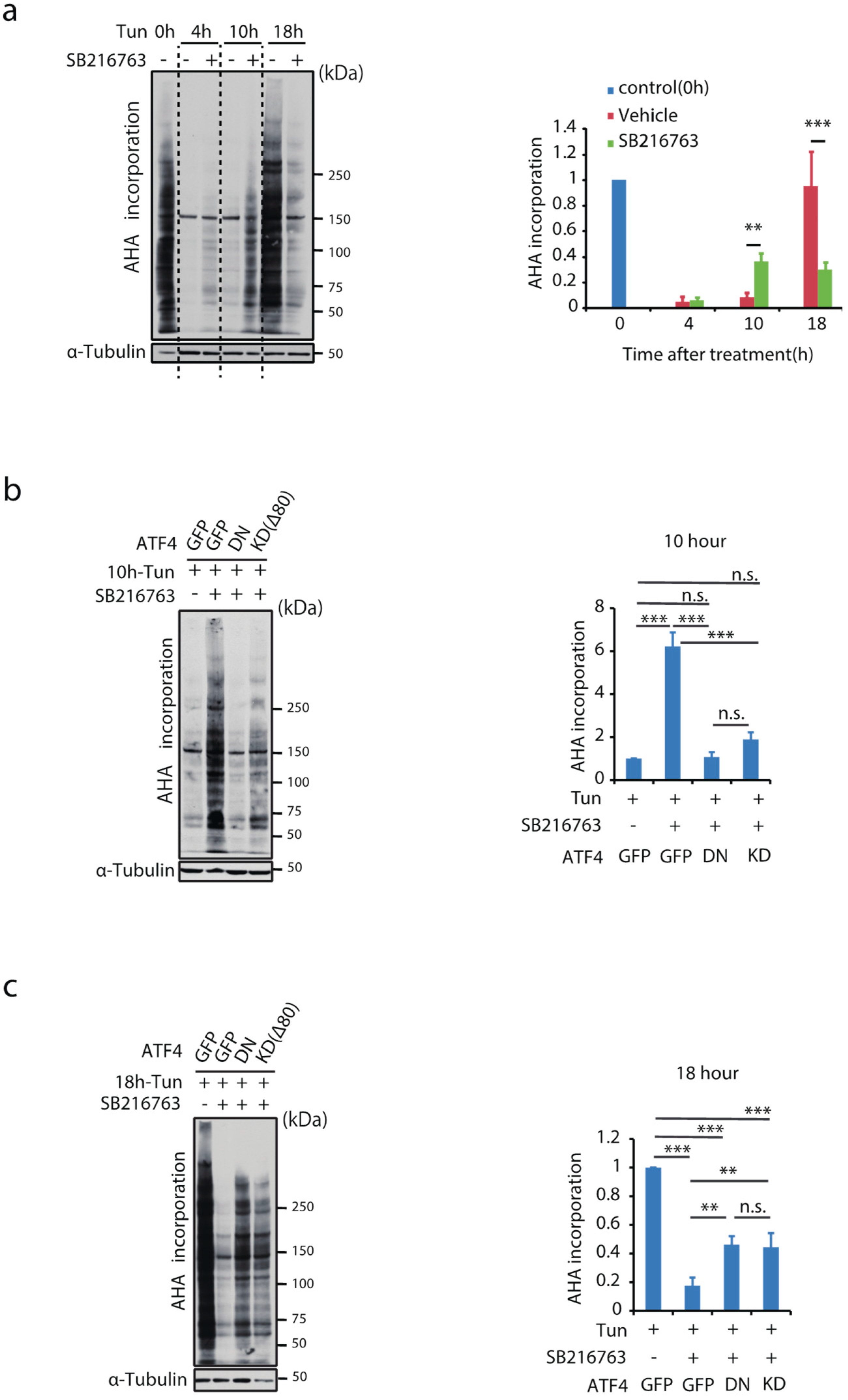 Ijms 23 13586 g005 Ijms 23 13586 g005