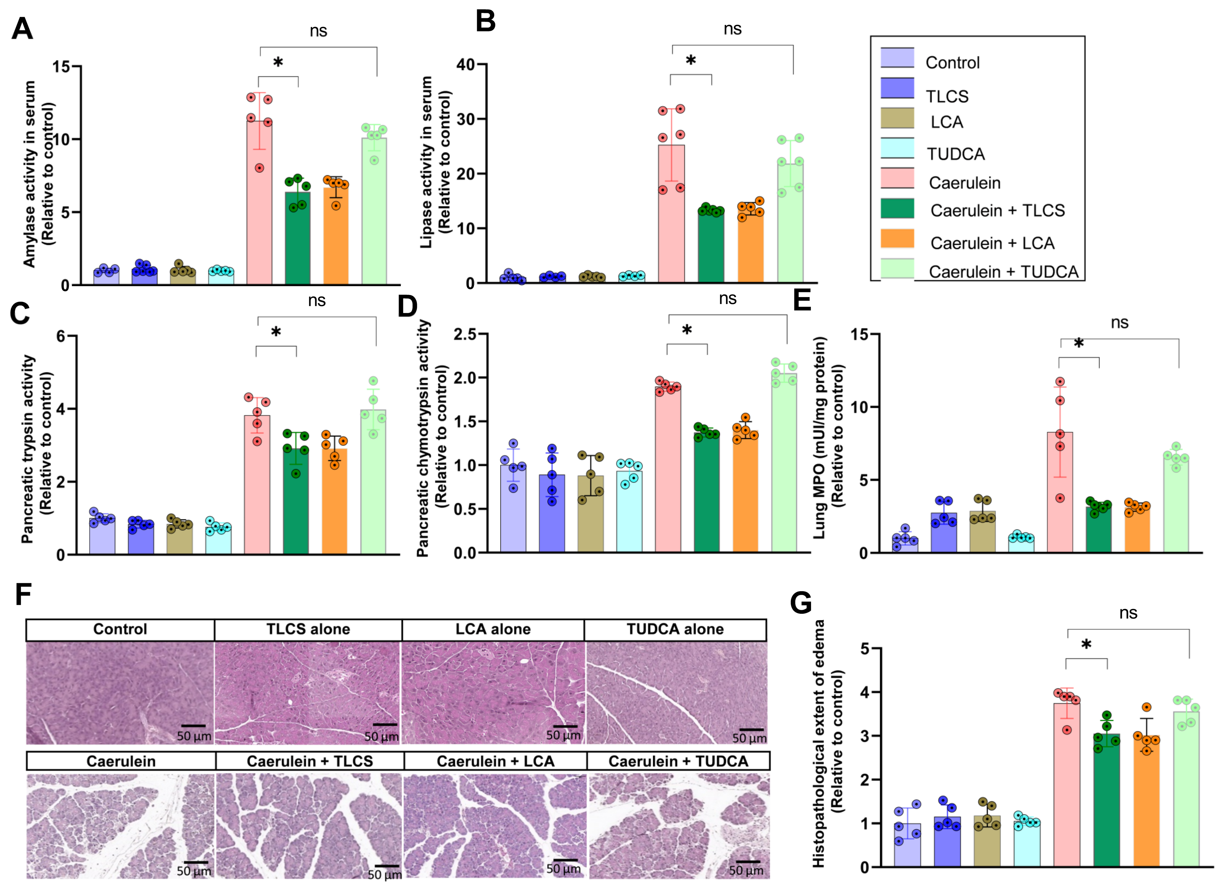 Ijms 23 13592 g004 Ijms 23 13592 g004