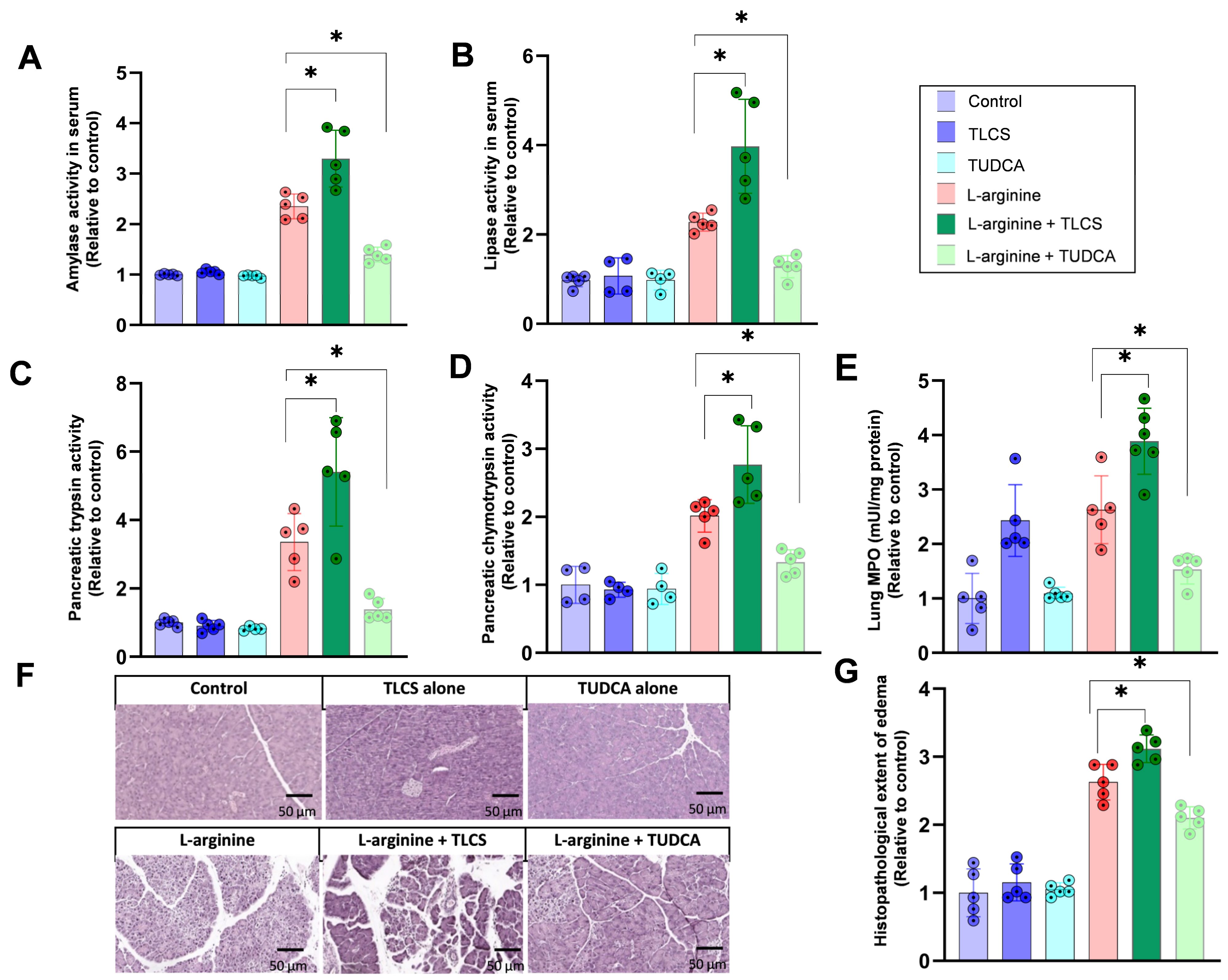 Ijms 23 13592 g005 Ijms 23 13592 g005