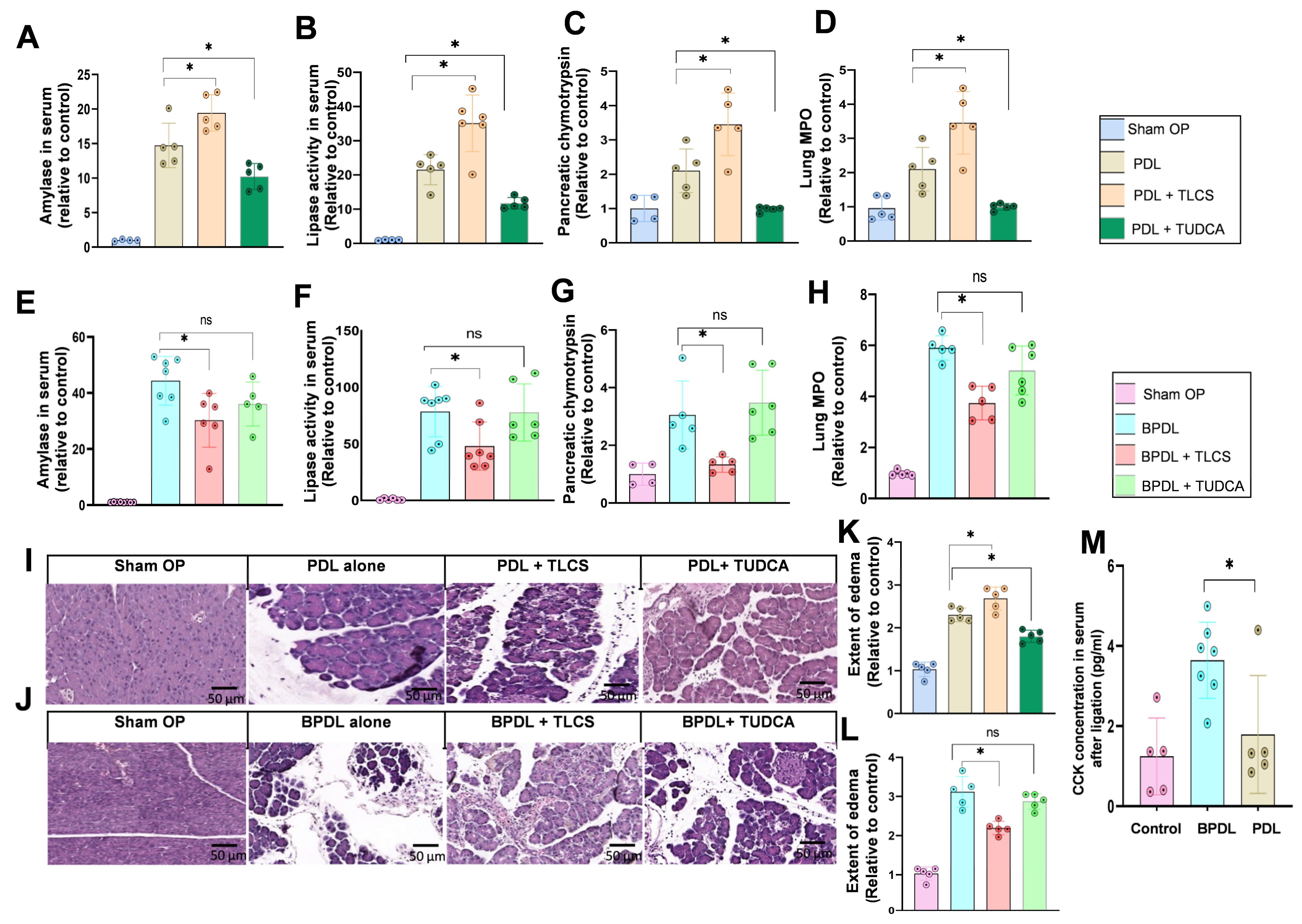 Ijms 23 13592 g006 Ijms 23 13592 g006