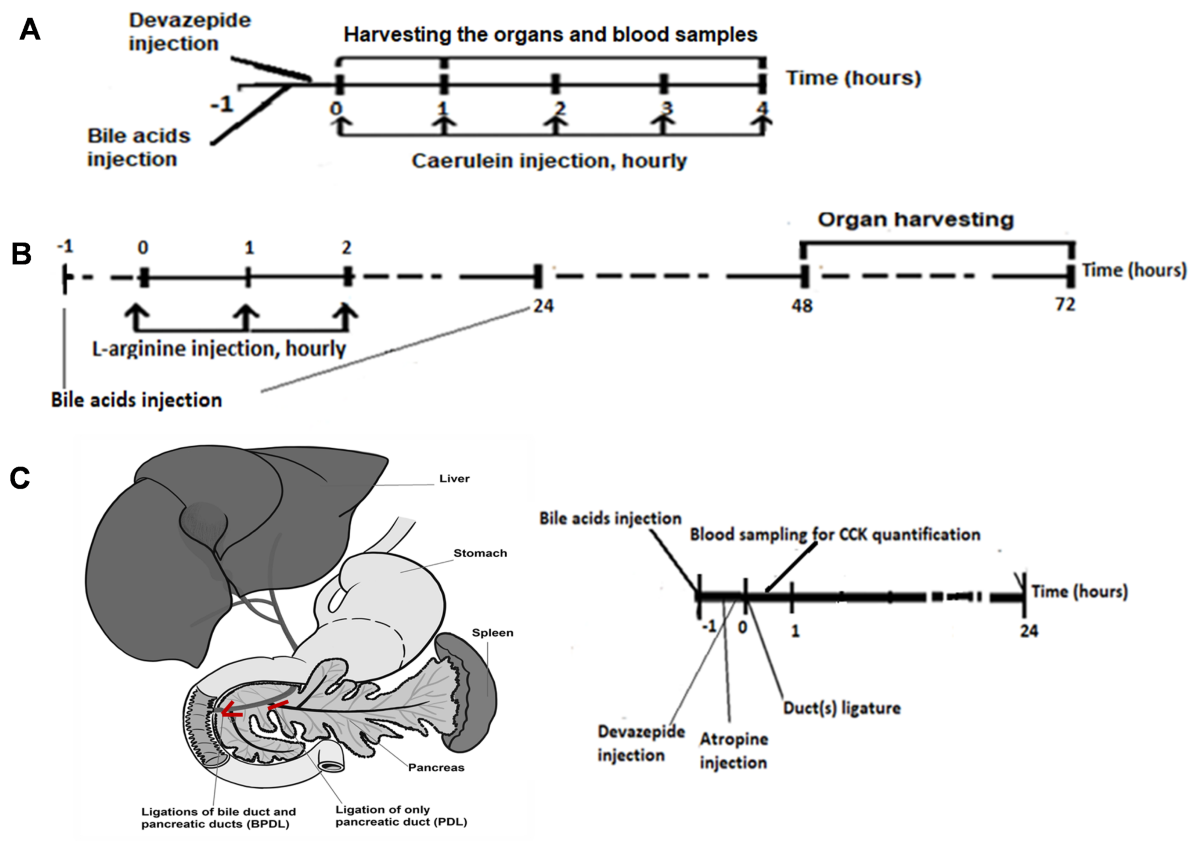 Ijms 23 13592 g008 Ijms 23 13592 g008