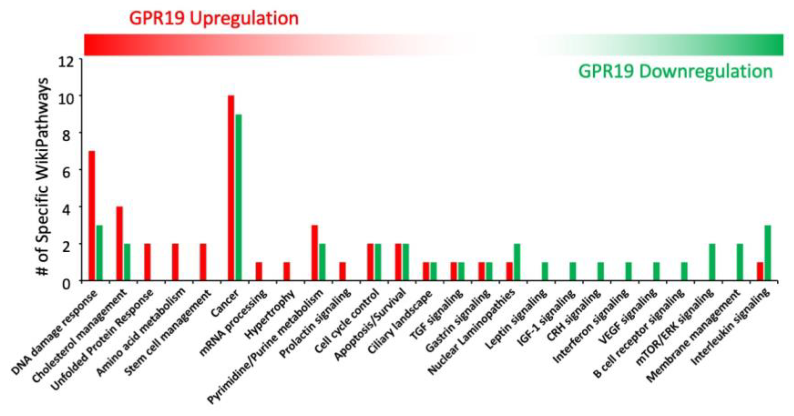 Ijms 23 13598 g003 Ijms 23 13598 g003