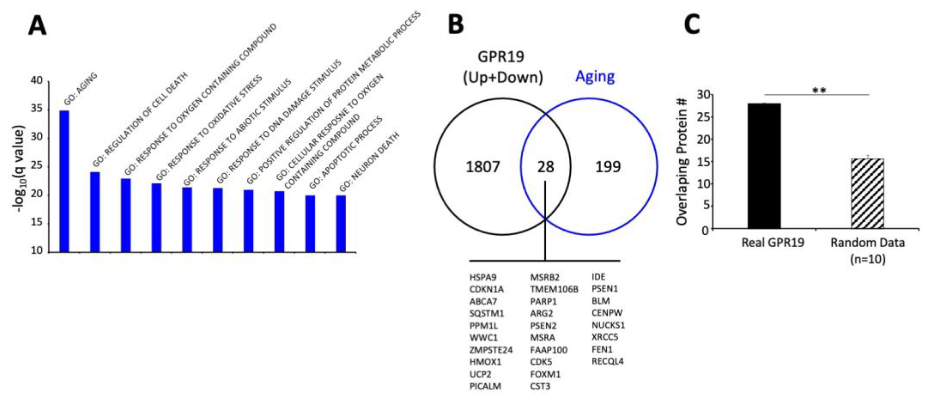 Ijms 23 13598 g004 Ijms 23 13598 g004