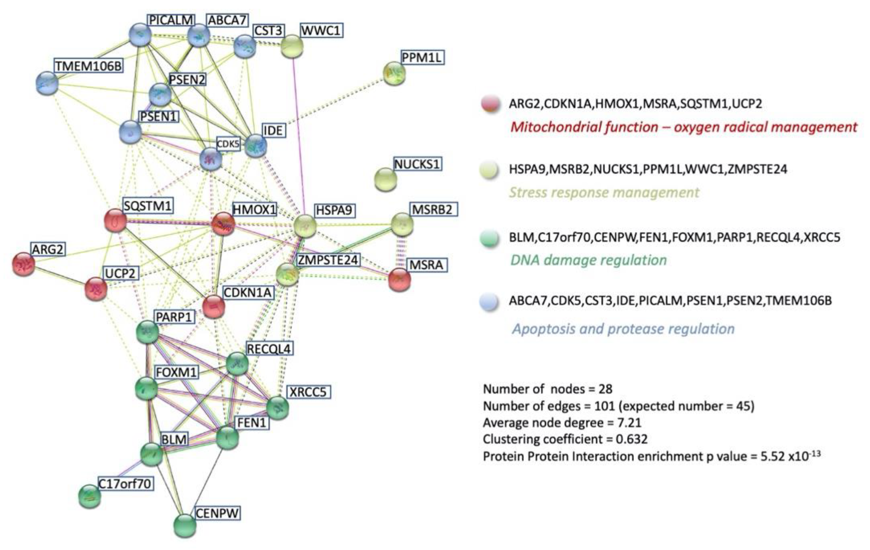 Ijms 23 13598 g005 Ijms 23 13598 g005