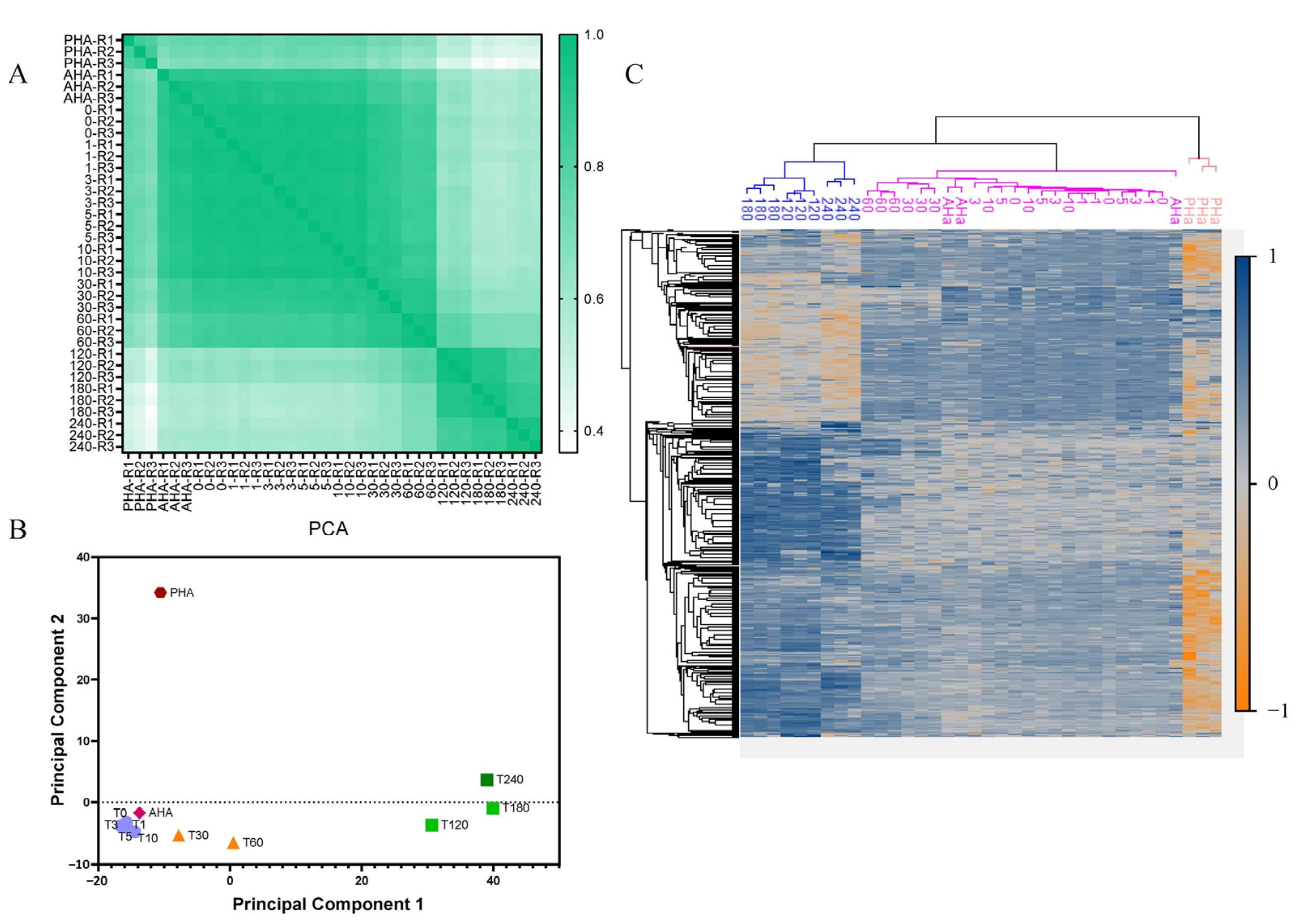 Ijms 23 13614 g002 Ijms 23 13614 g002