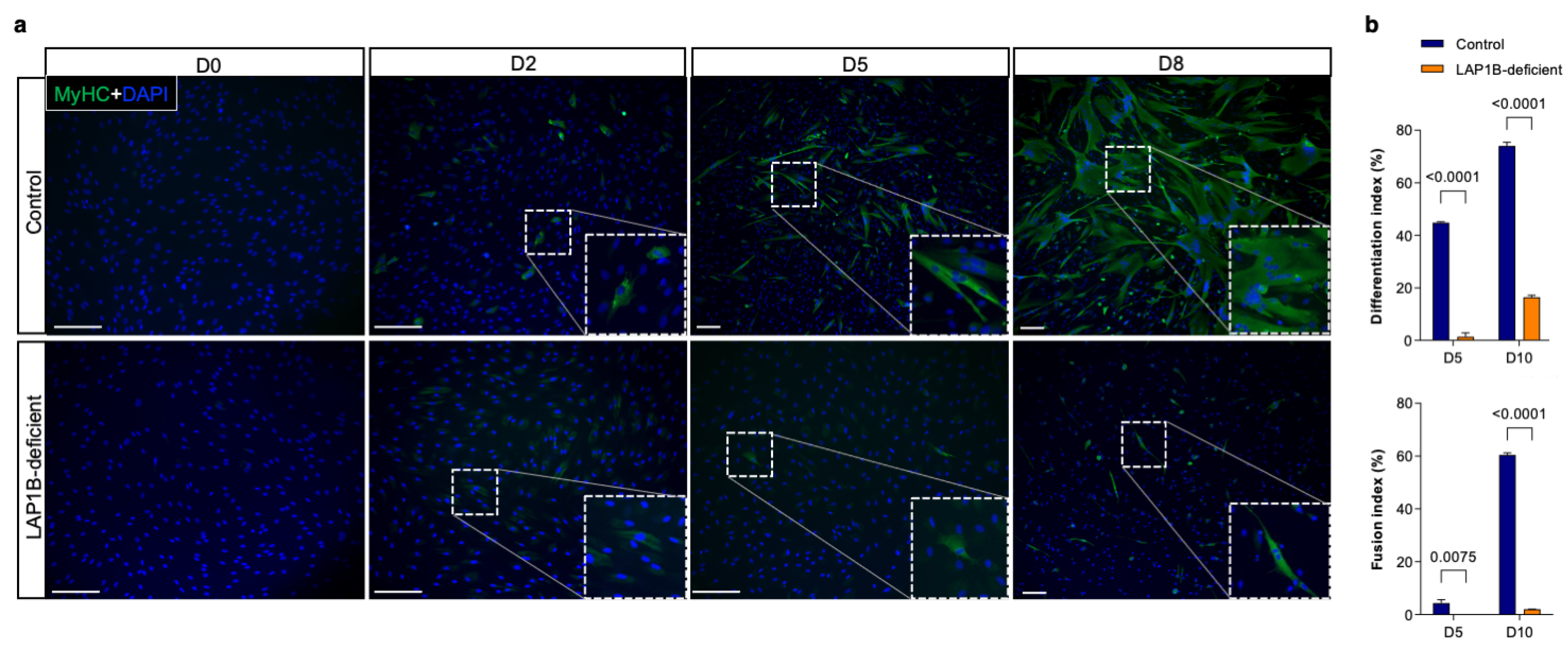 Ijms 23 13615 g002 Ijms 23 13615 g002