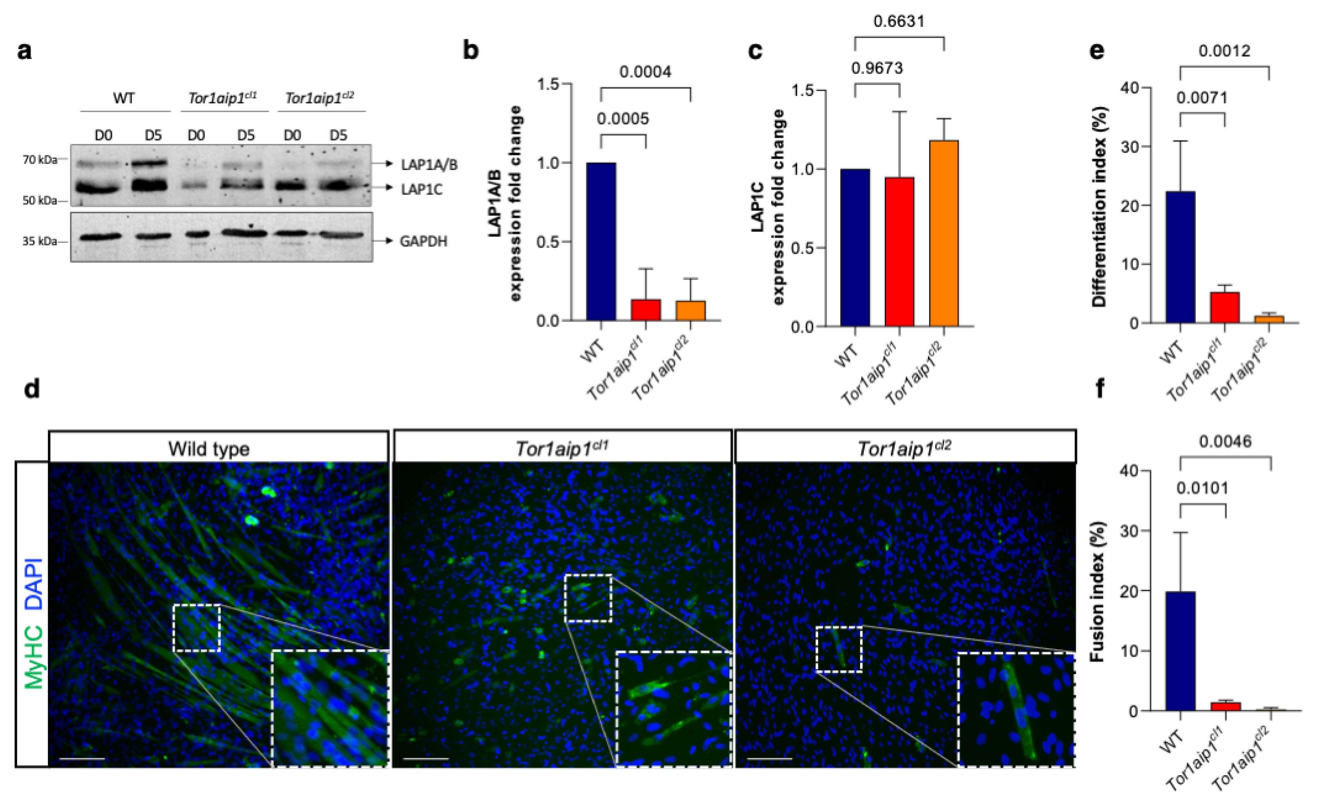 Ijms 23 13615 g003 Ijms 23 13615 g003