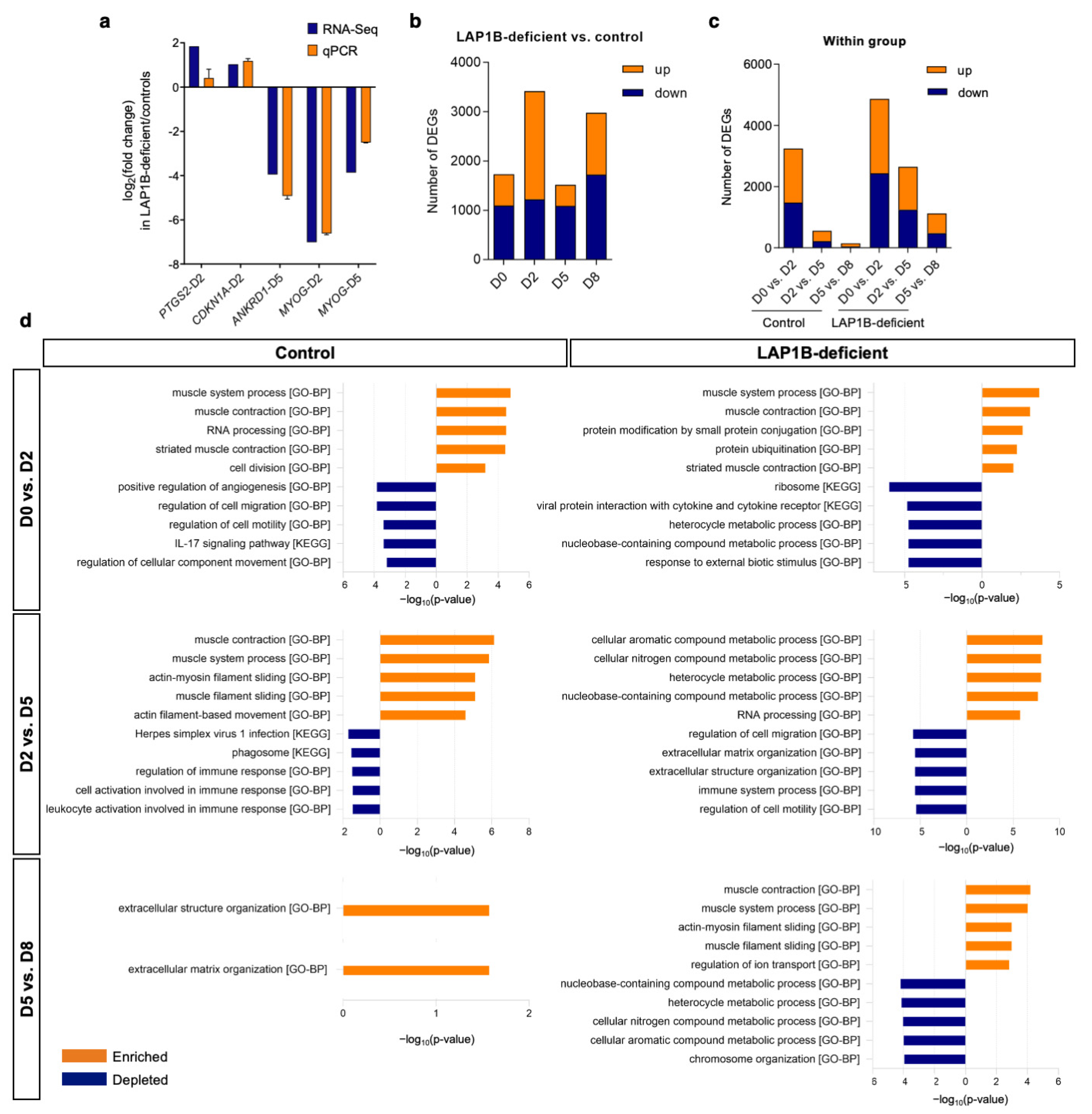 Ijms 23 13615 g004 Ijms 23 13615 g004