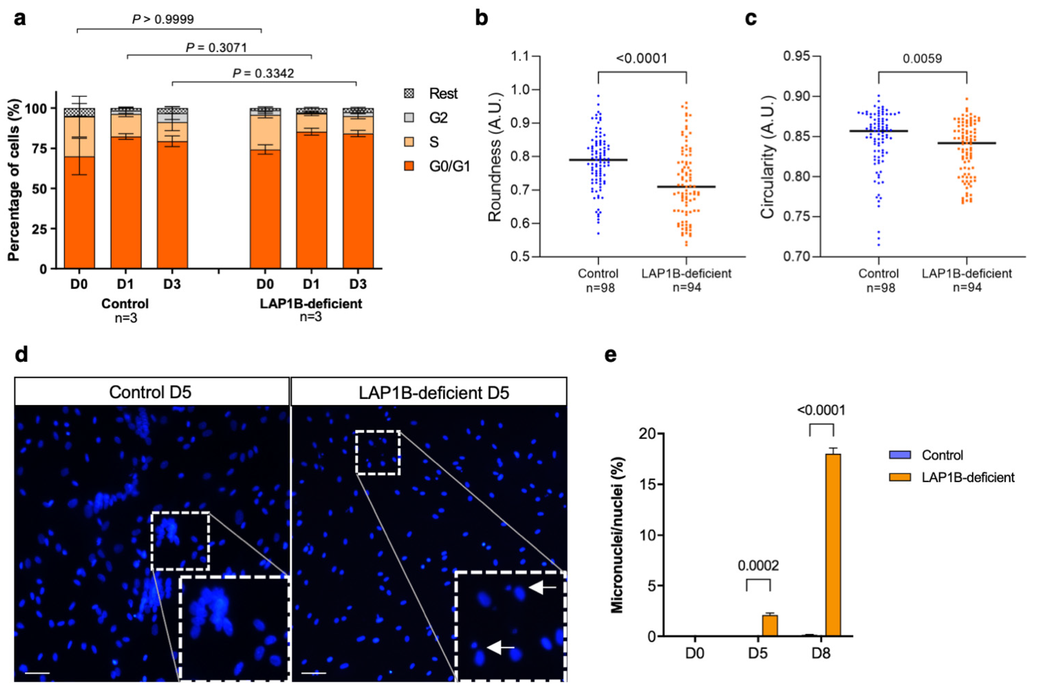 Ijms 23 13615 g006 Ijms 23 13615 g006