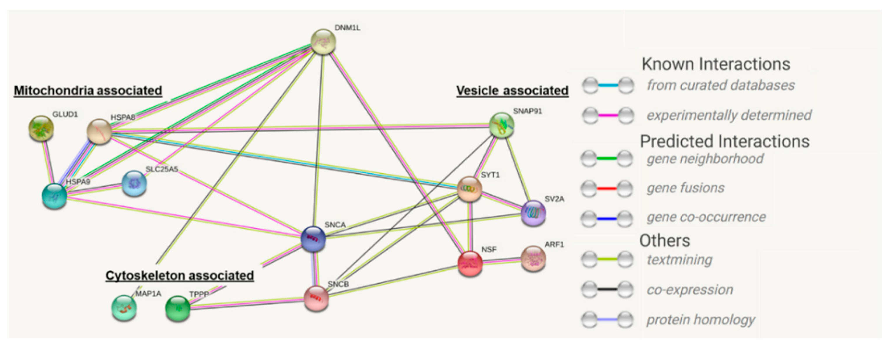 Ijms 23 13618 g008 Ijms 23 13618 g008