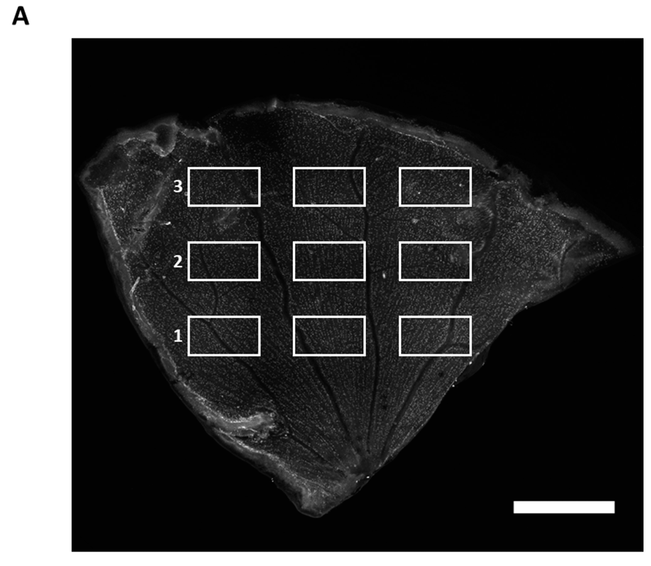 Ijms 23 13618 g0a1a Ijms 23 13618 g0a1a