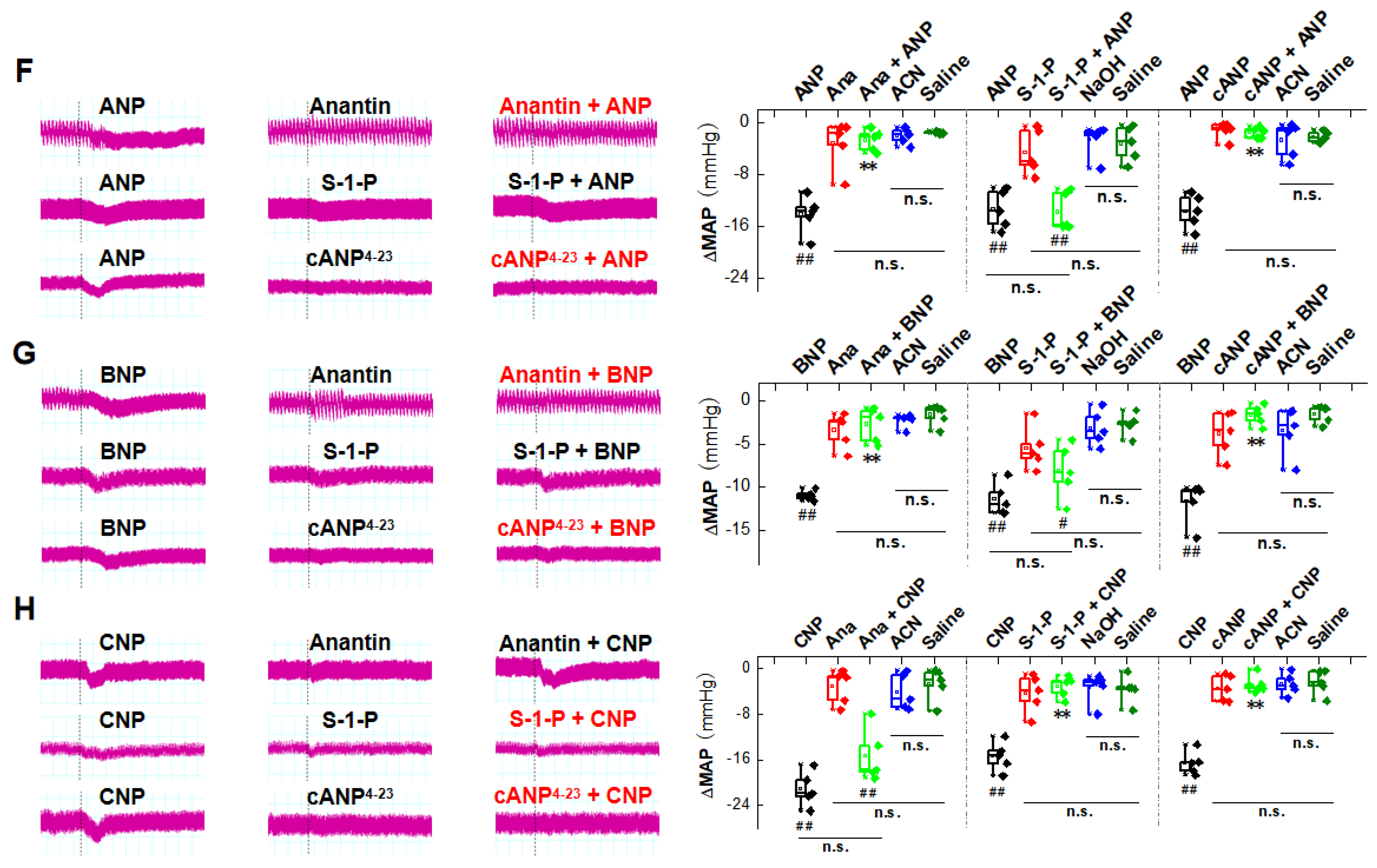 Ijms 23 13619 g001b Ijms 23 13619 g001b