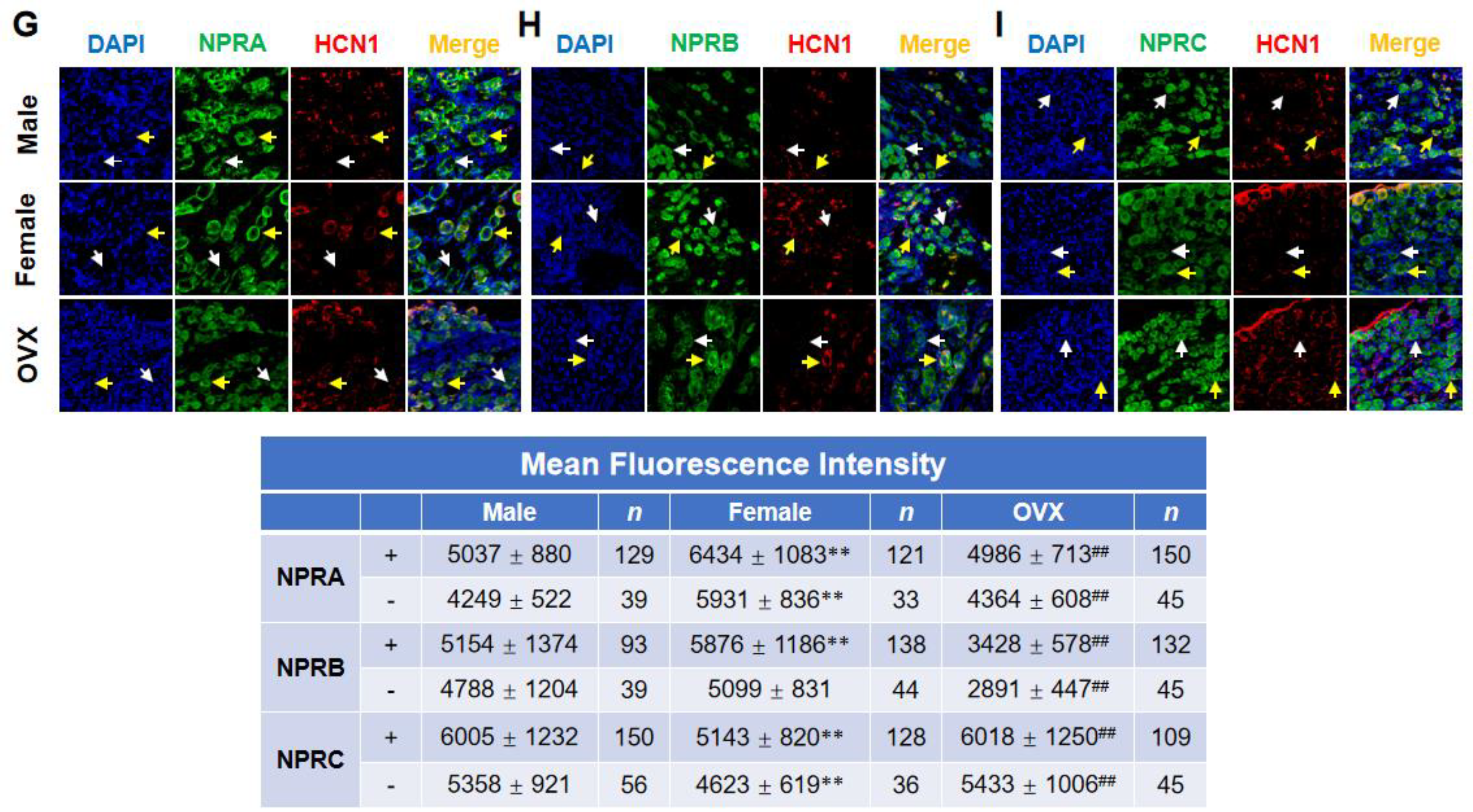 Ijms 23 13619 g002b Ijms 23 13619 g002b