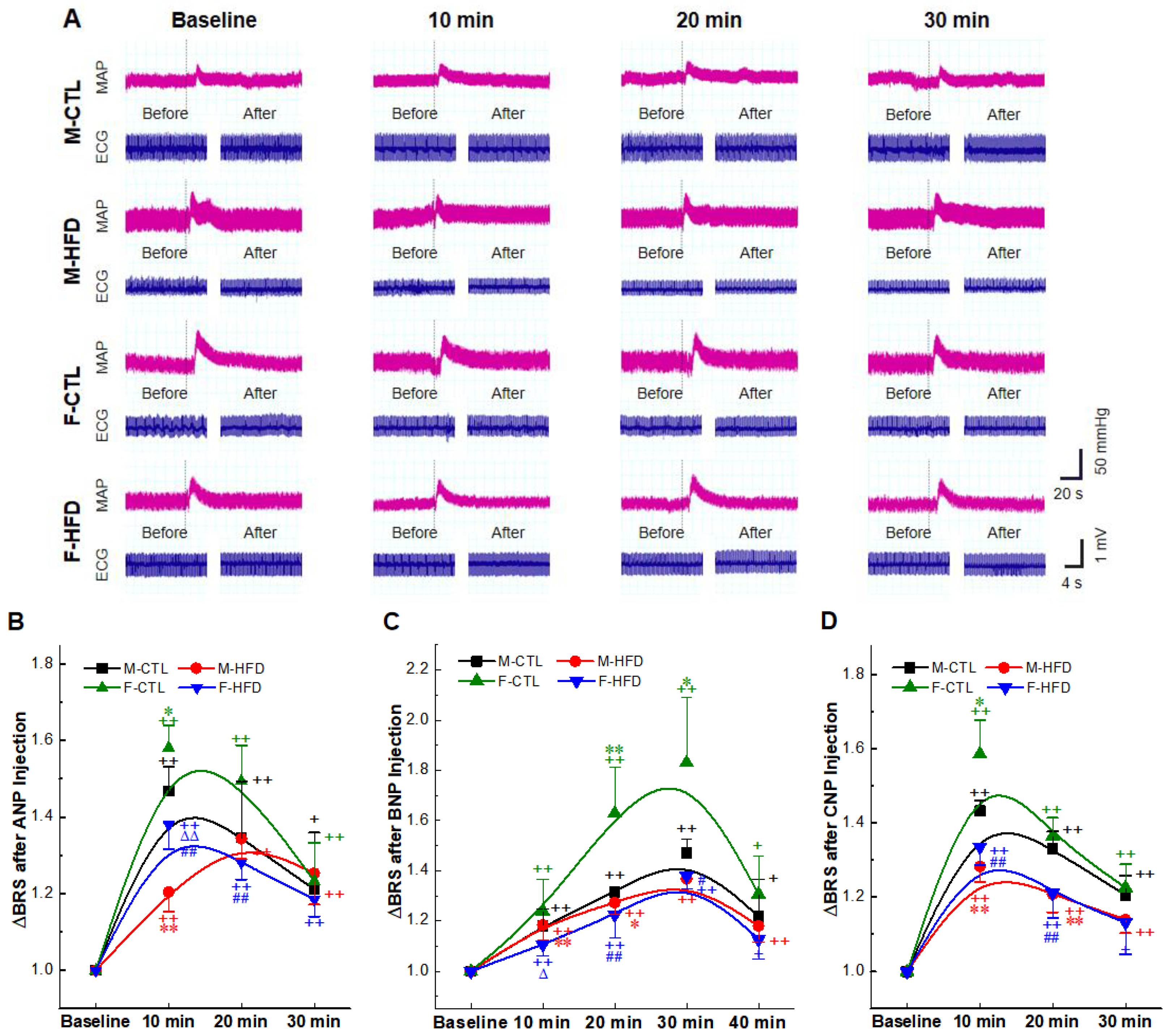 Ijms 23 13619 g004 Ijms 23 13619 g004