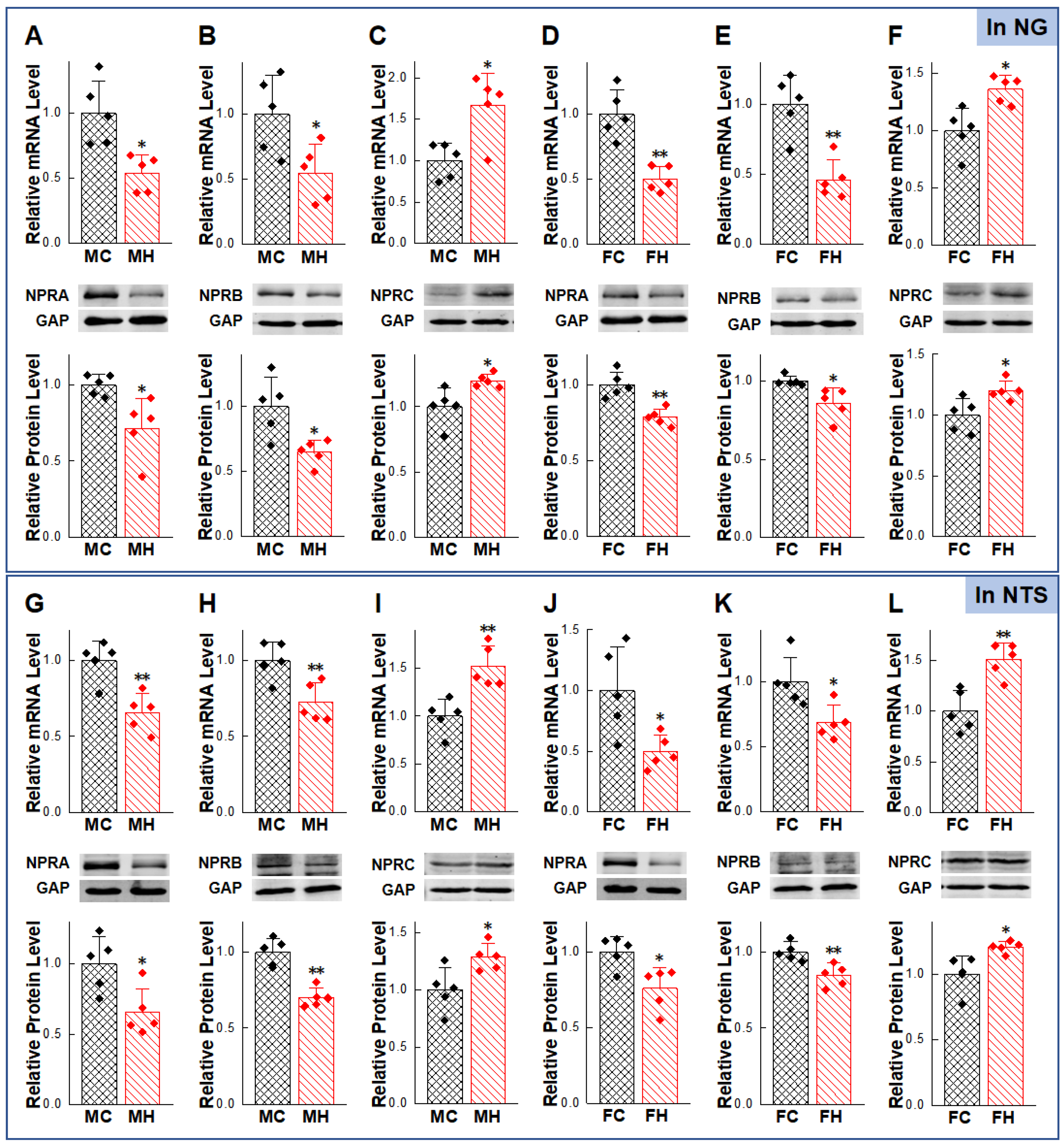 Ijms 23 13619 g005 Ijms 23 13619 g005