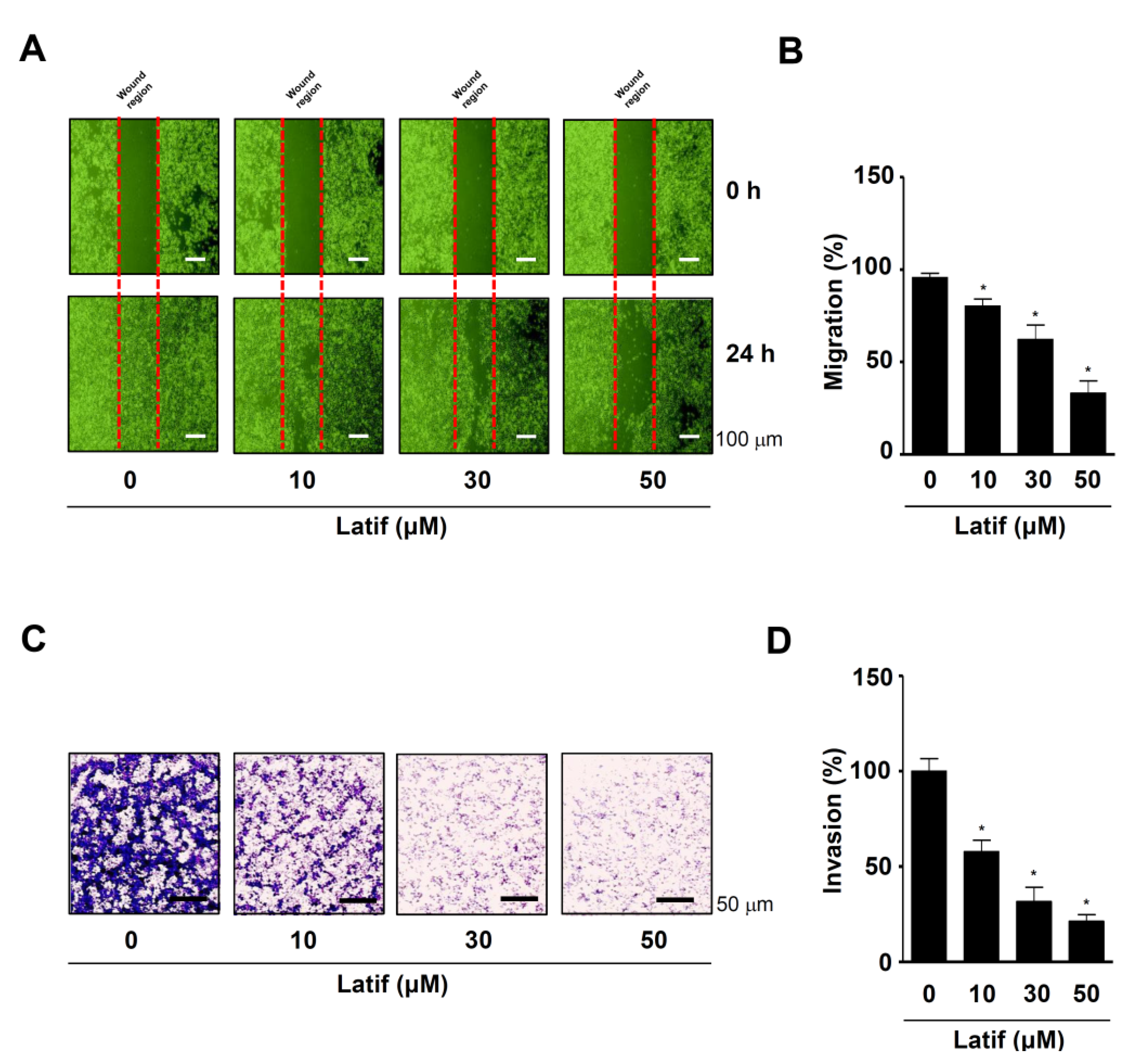 Ijms 23 13629 g006 Ijms 23 13629 g006