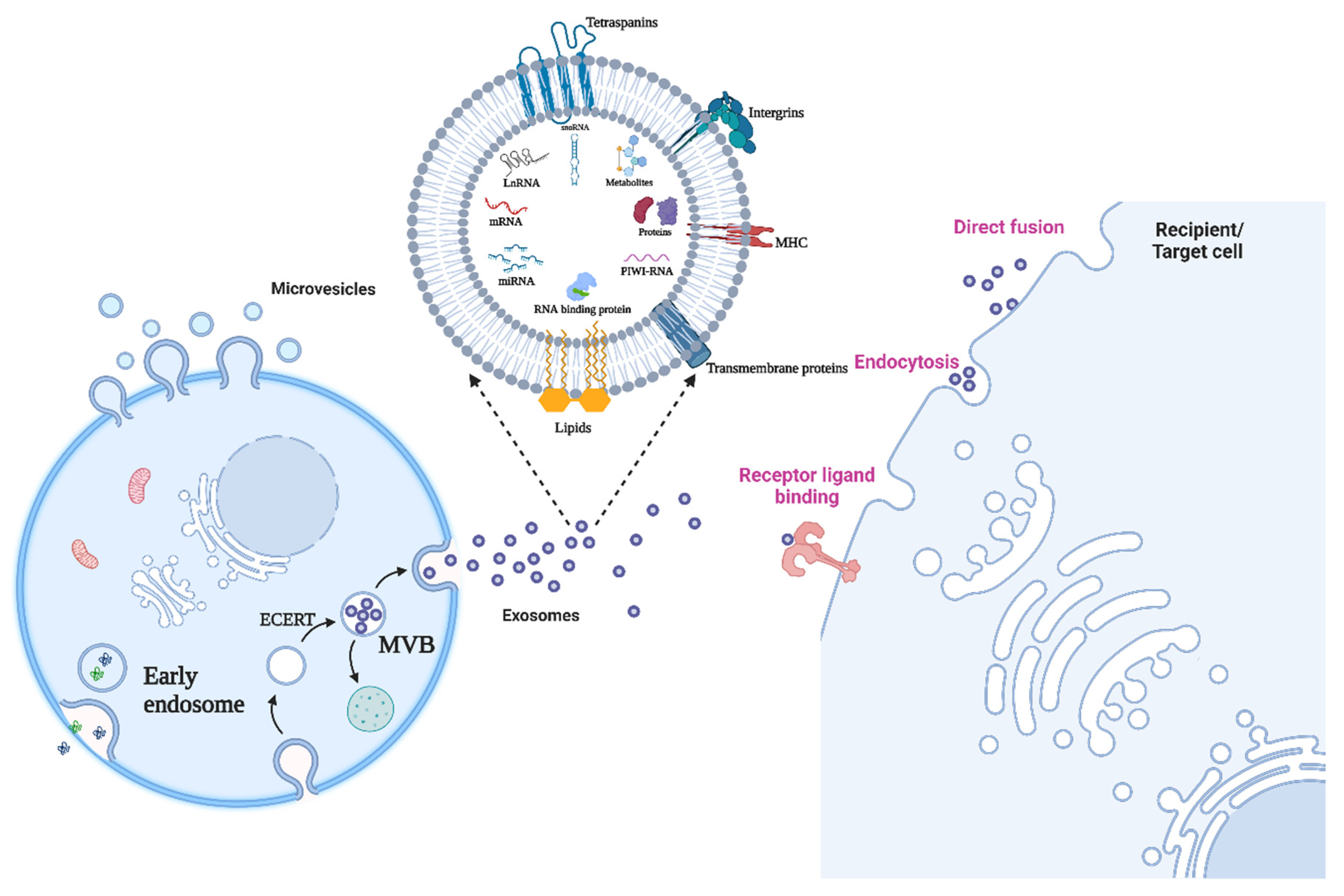 Ijms 23 13637 g001 Ijms 23 13637 g001