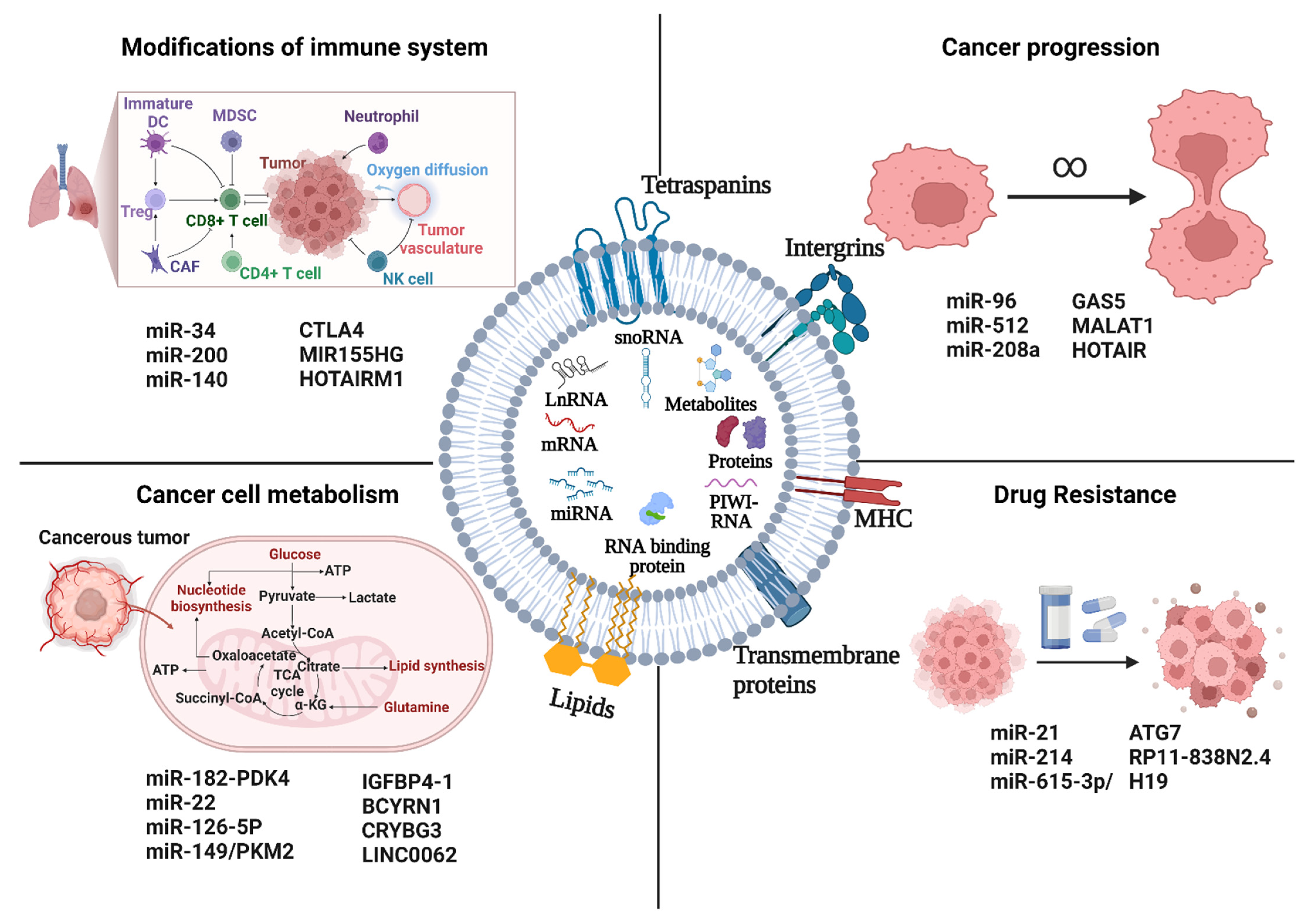 Ijms 23 13637 g002 Ijms 23 13637 g002
