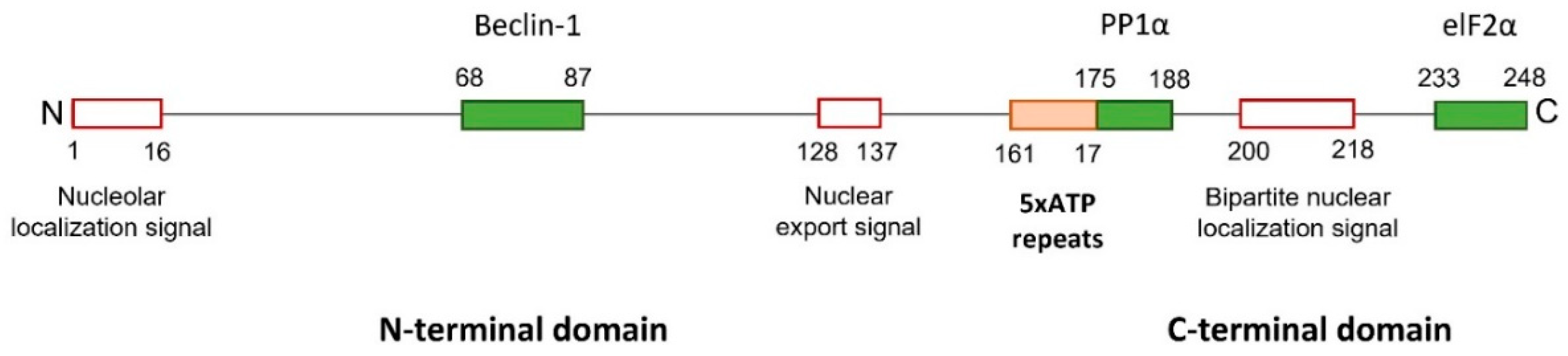Ijms 23 13643 g002 Ijms 23 13643 g002