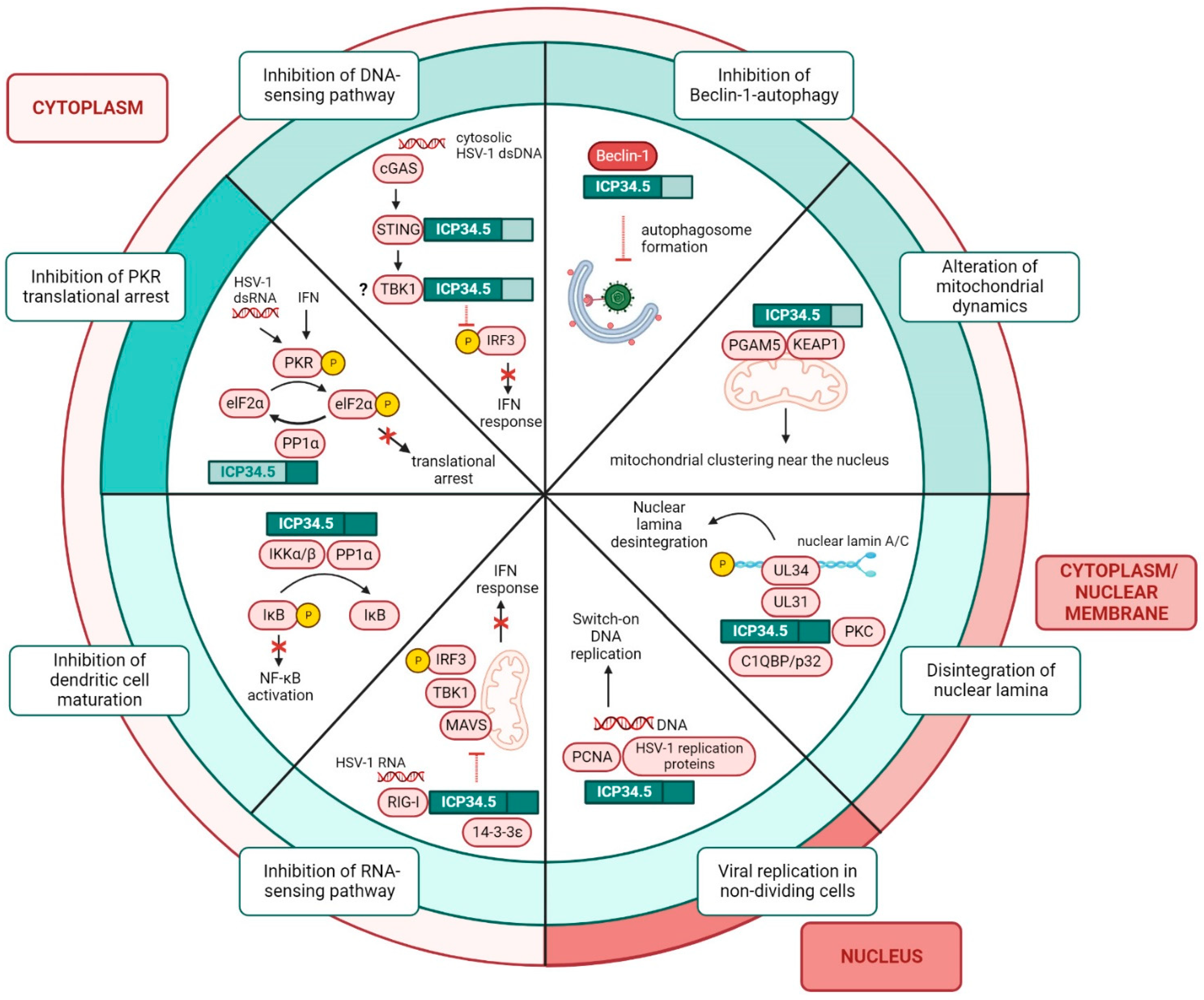 Ijms 23 13643 g003 Ijms 23 13643 g003