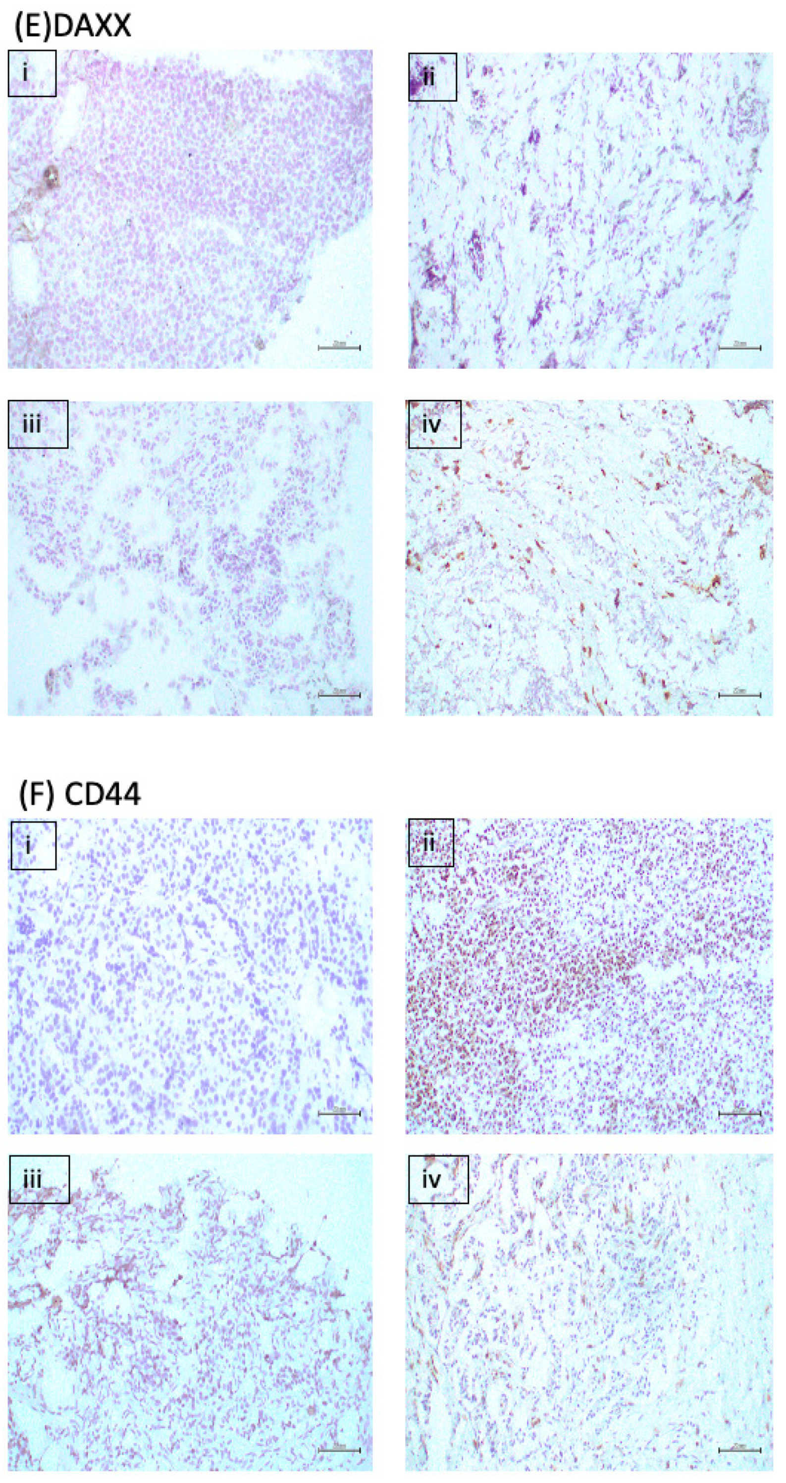 Ijms 23 13645 g003c Ijms 23 13645 g003c