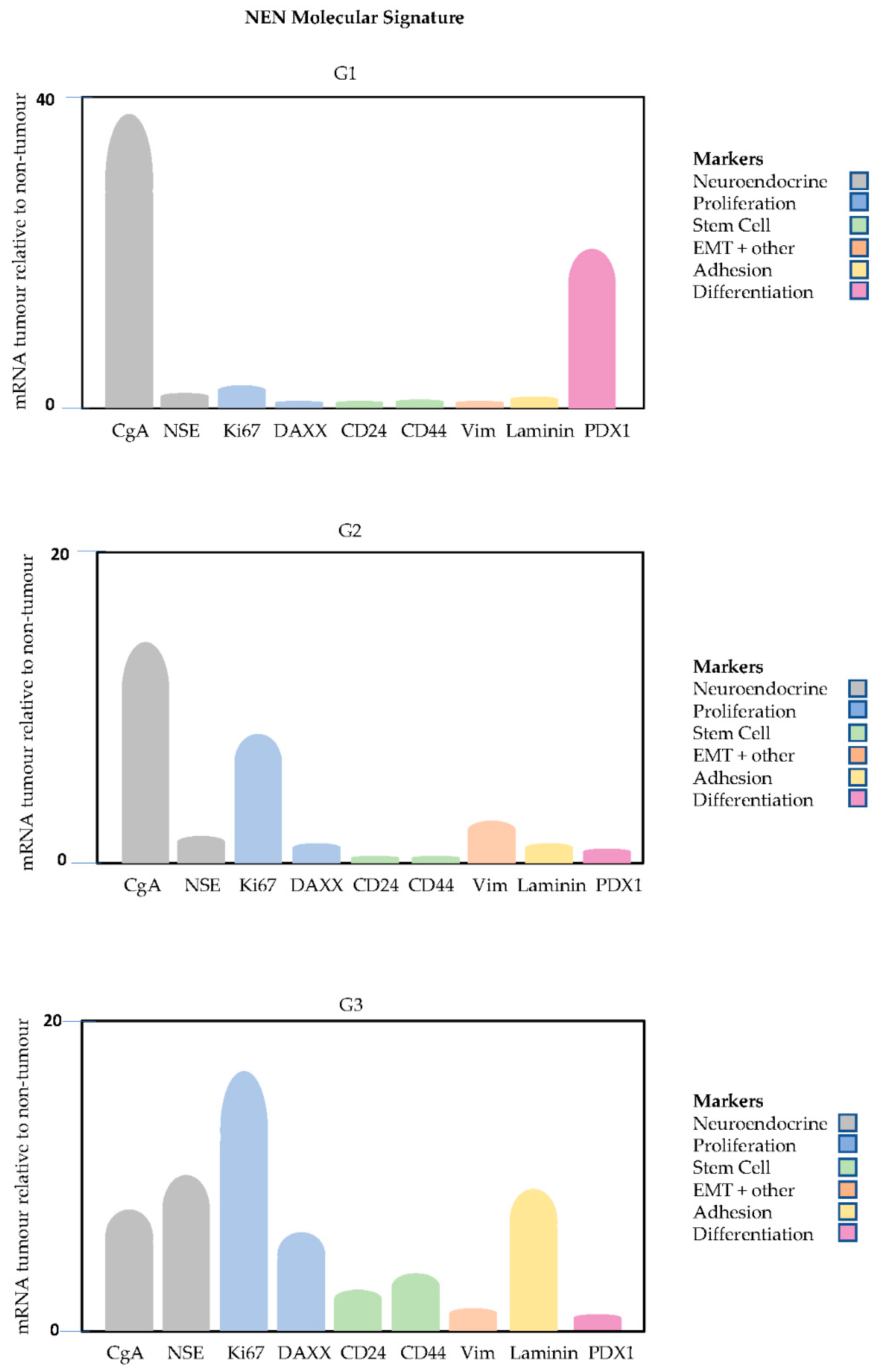 Ijms 23 13645 g004 Ijms 23 13645 g004