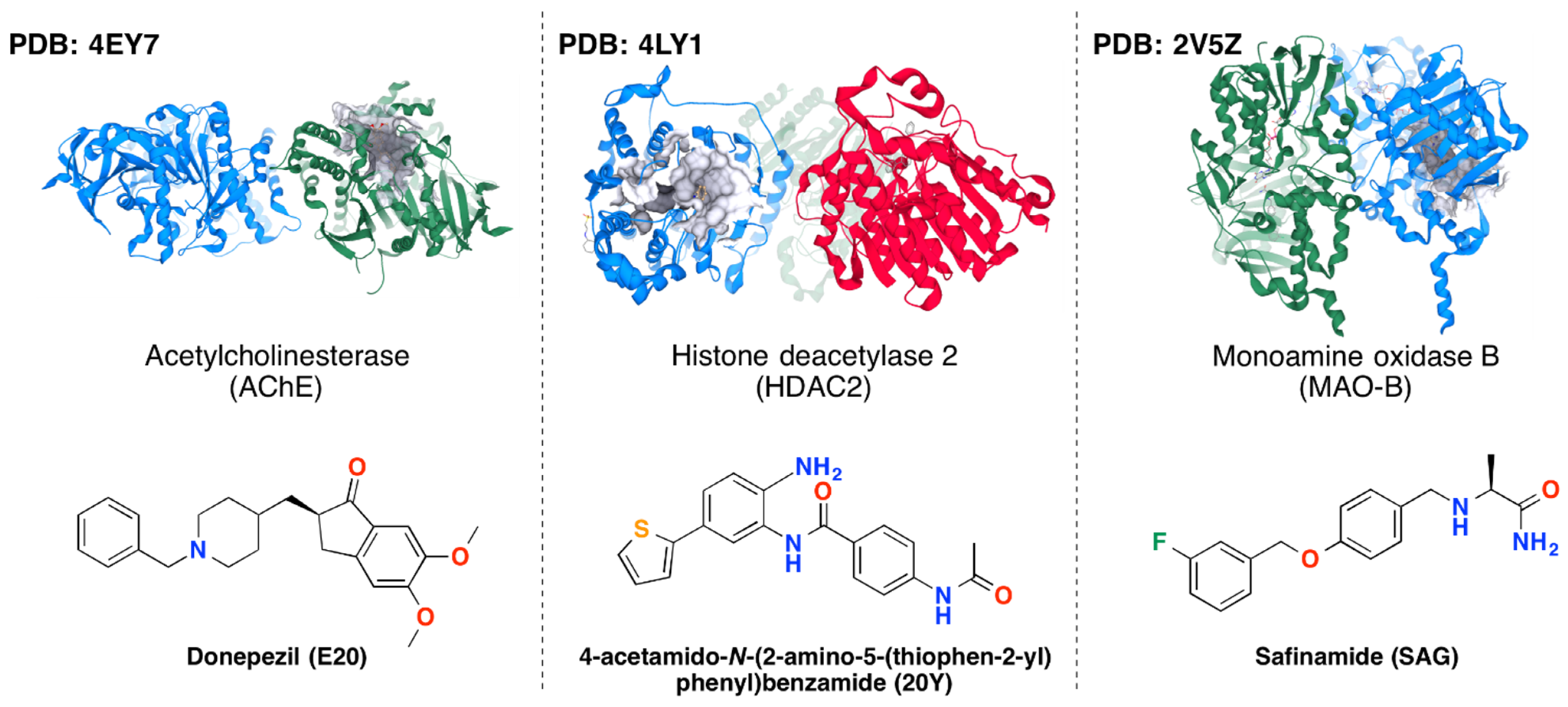 Ijms 23 13650 g001 Ijms 23 13650 g001