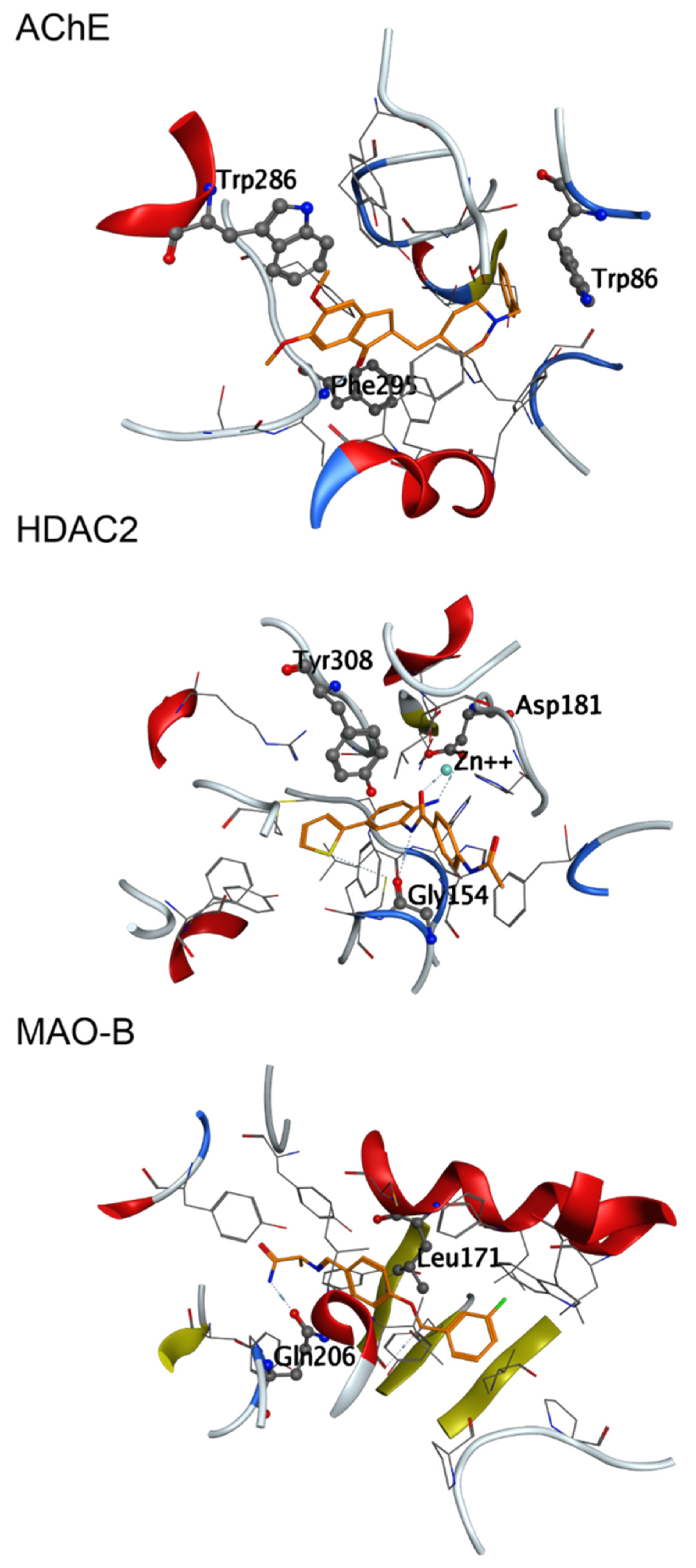 Ijms 23 13650 g003 Ijms 23 13650 g003
