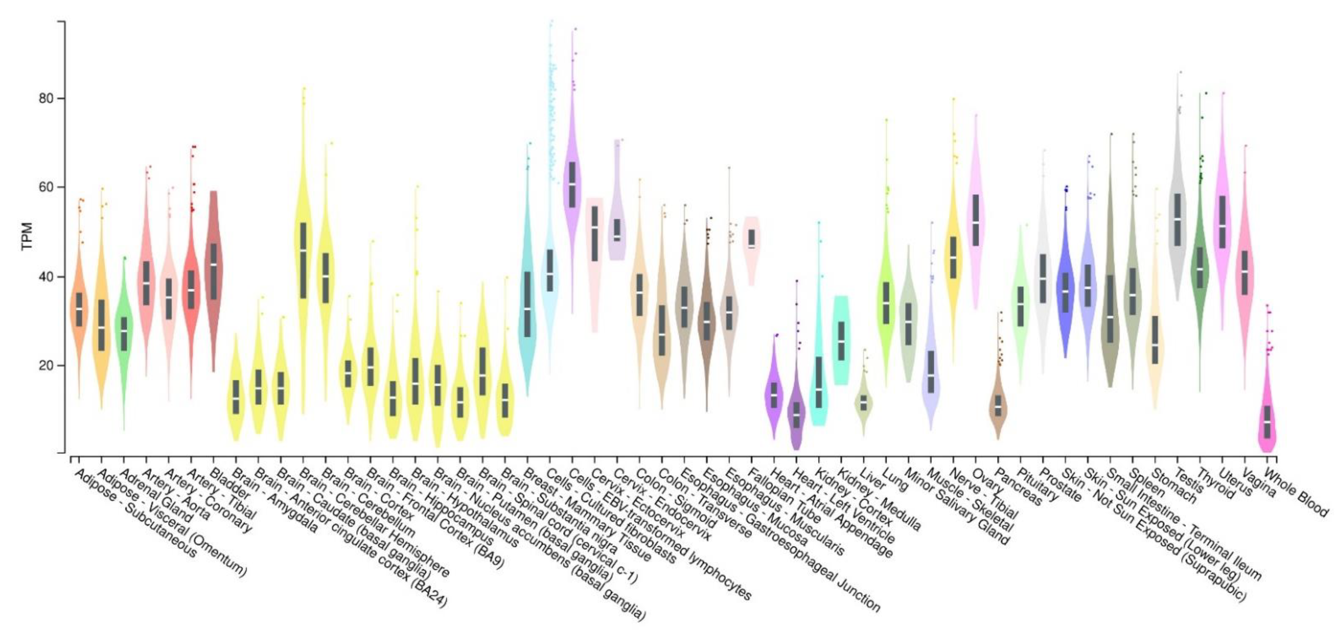 Ijms 23 13654 g002 Ijms 23 13654 g002