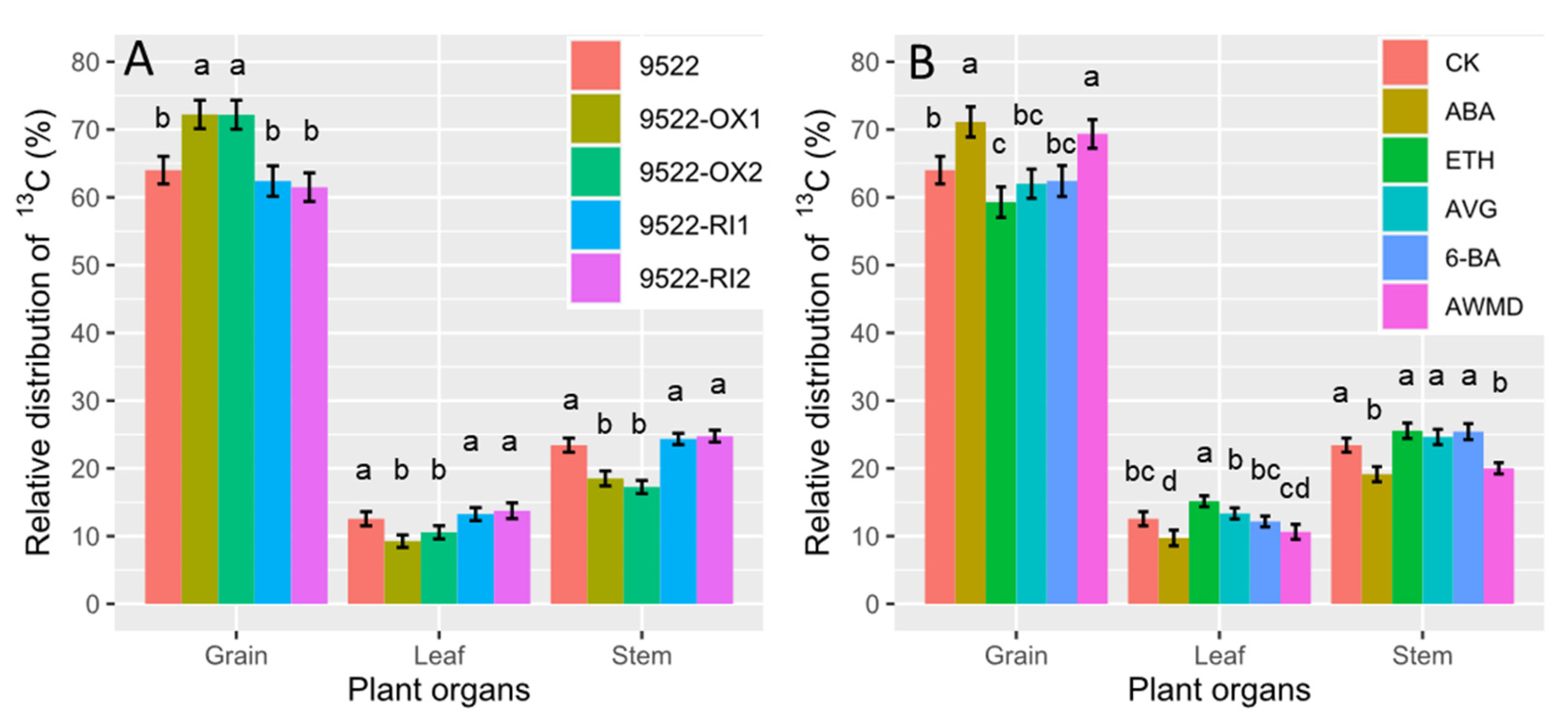 Ijms 23 13668 g006 Ijms 23 13668 g006